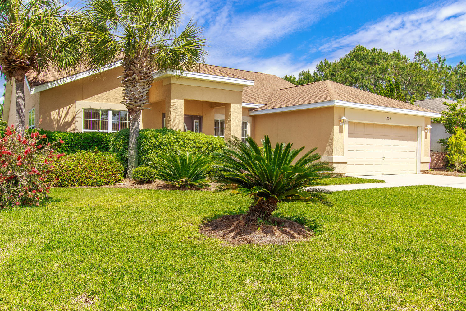 Palmetto Trace - Residential