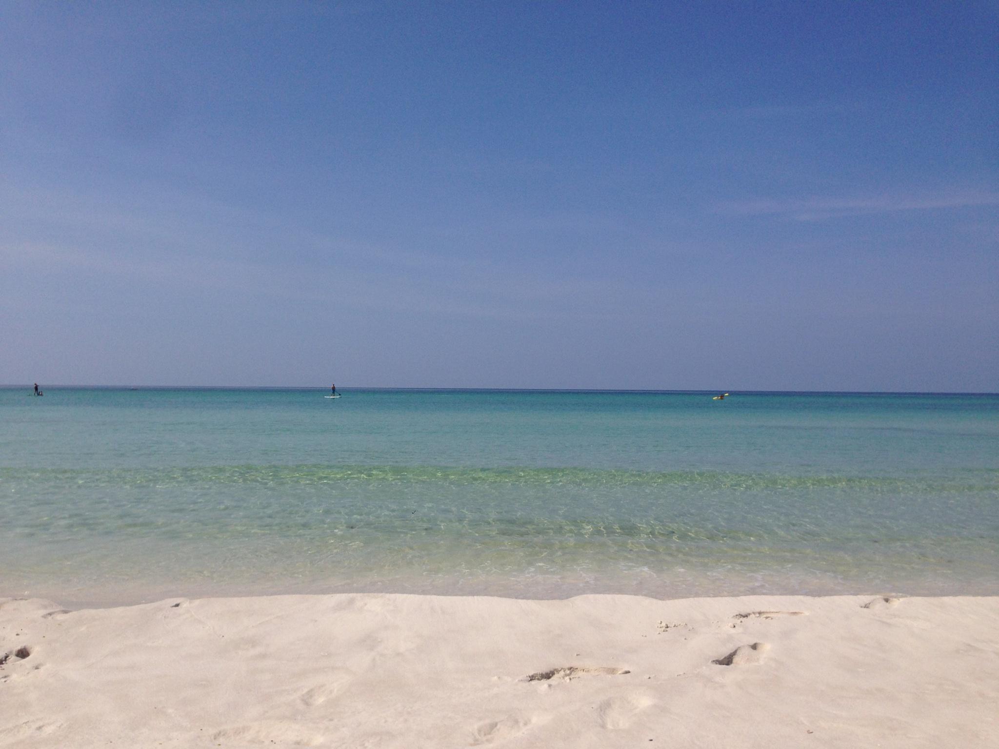 Palmetto Trace - Residential