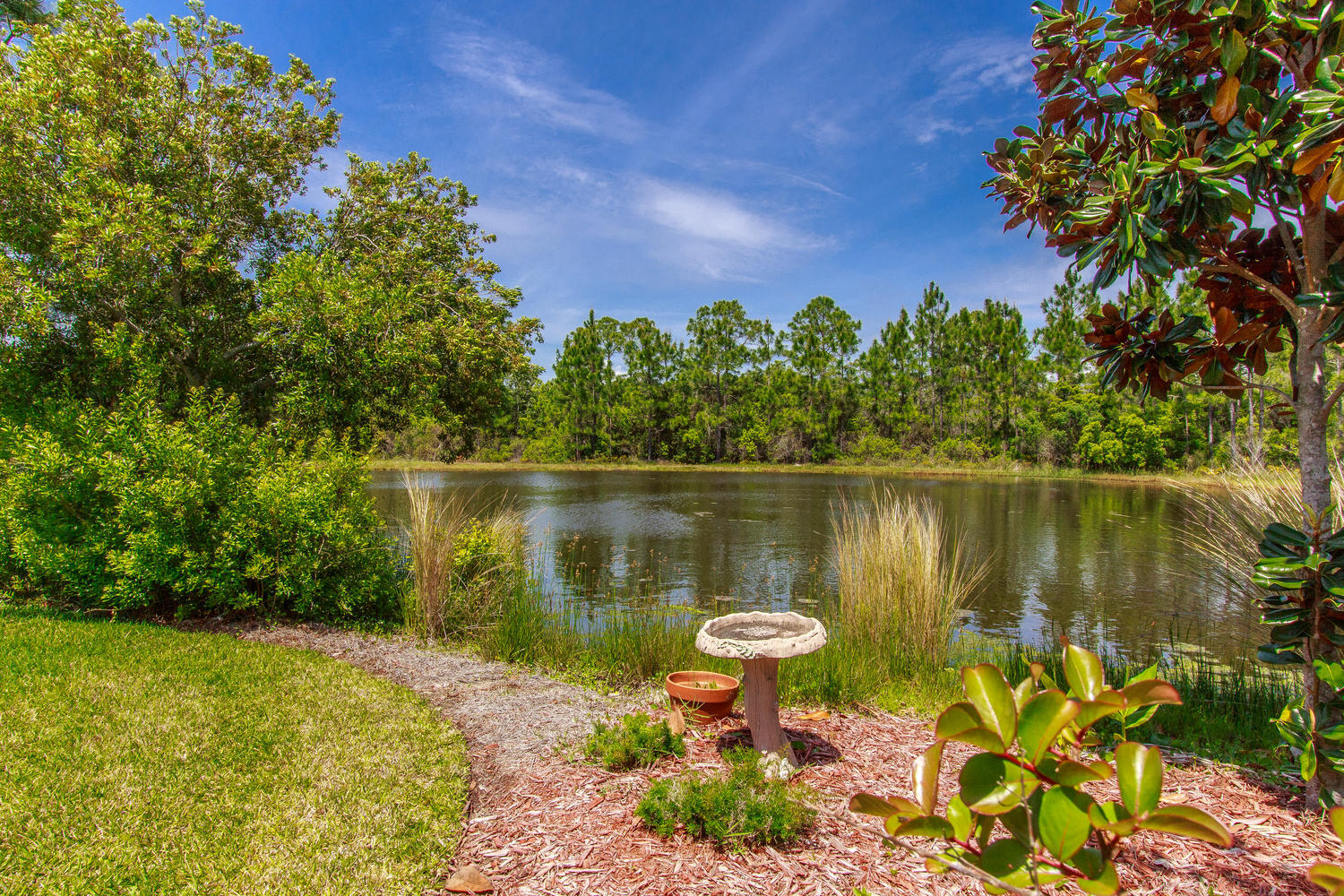 Palmetto Trace - Residential