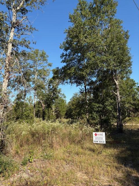 Oakwood Lakes Estates is a great area with new homes all around. Come take a look at the possibilities. There are 5 lots in total so take your pick or buy them all. Each lot is partially cleared with beautiful oaks remaining and each lot is nearly a half acre in size.