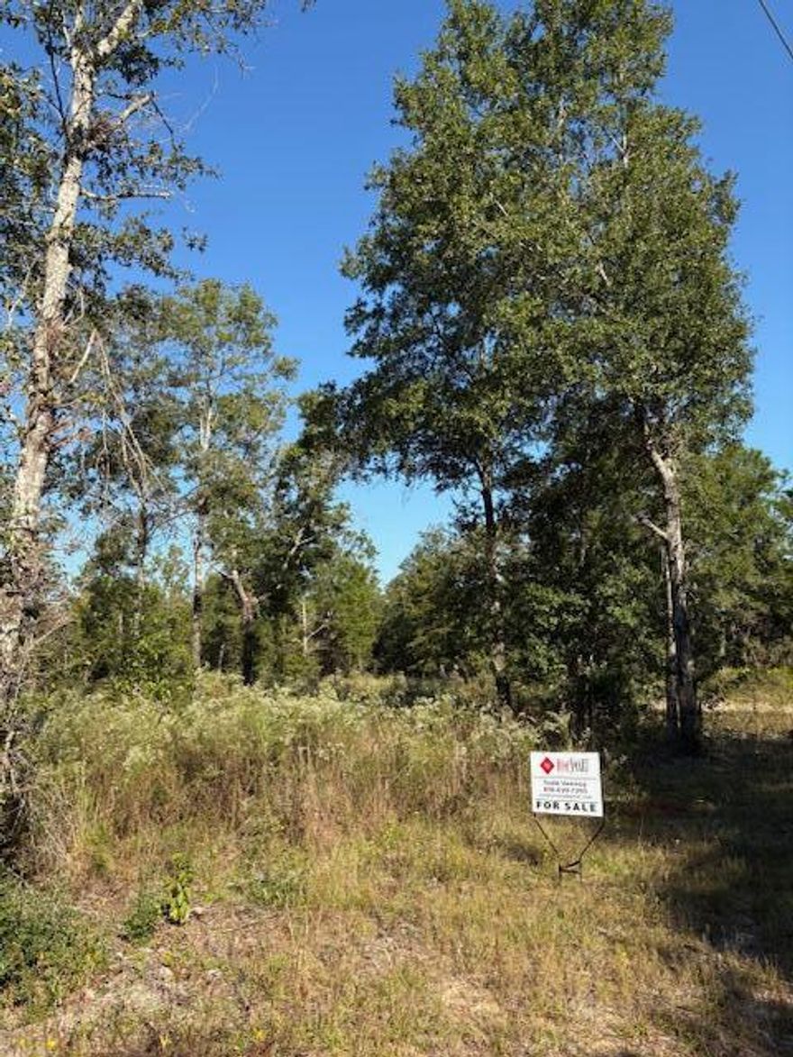 Oakwood Lakes Estates is a great area with new homes all around. Come take a look at the possibilities. There are 5 lots in total so take your pick or buy them all. Each lot is partially cleared with beautiful oaks remaining and each lot is nearly a half acre in size.