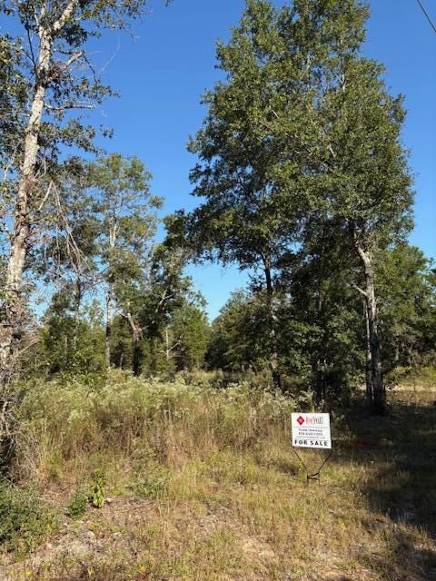 Photo of Lot 48 Howlin Road, DeFuniak Springs, FL 32433 (MLS # 987518)