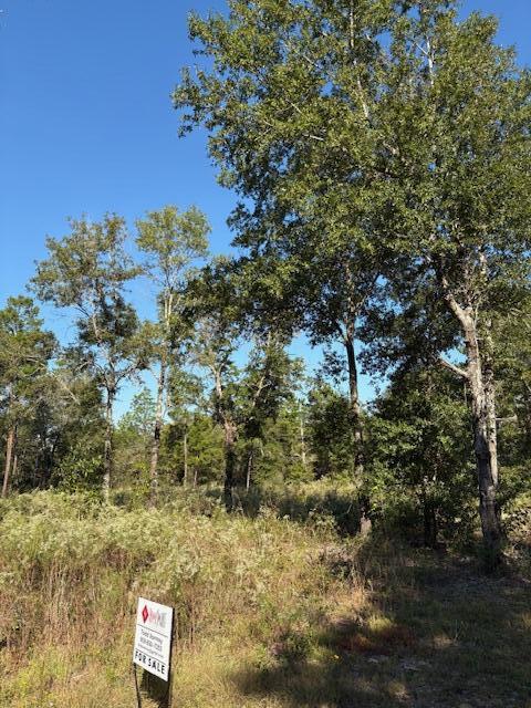 OAKWOOD LAKES ESTATES - Land