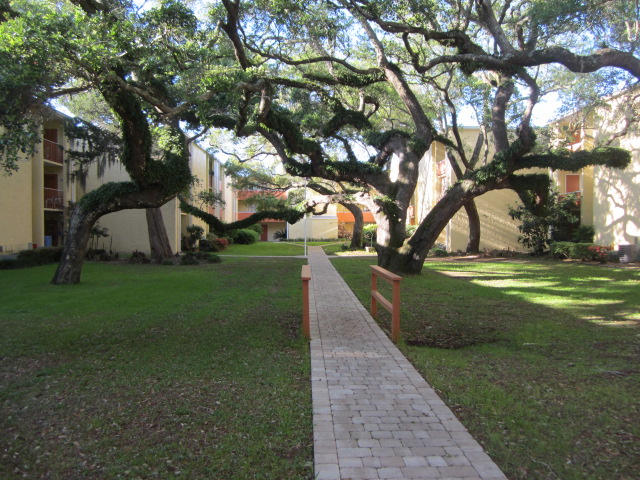 CEDARS CONDO - Residential