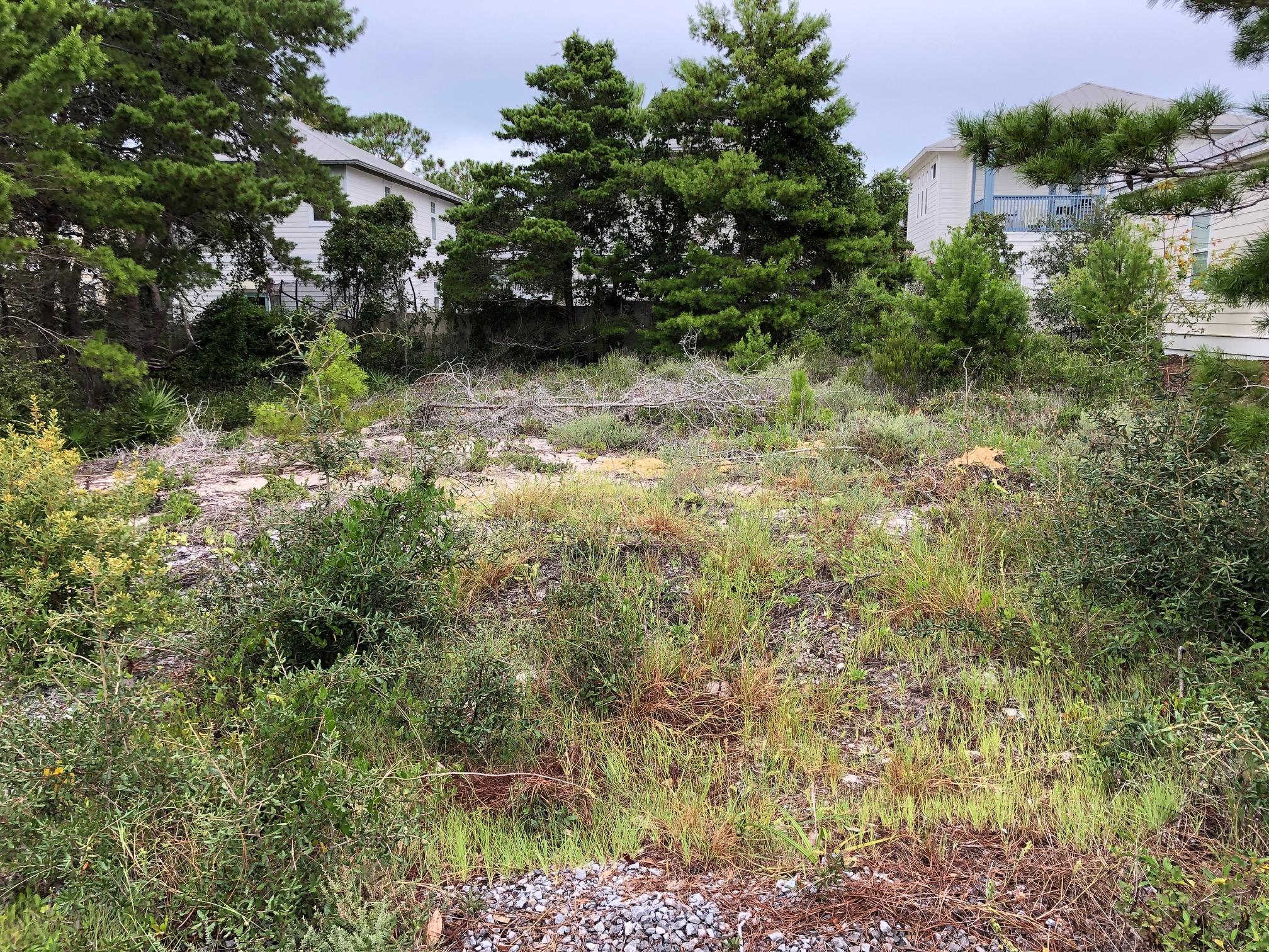 VILLAGE OF WHITE CLIFFS THE - Land