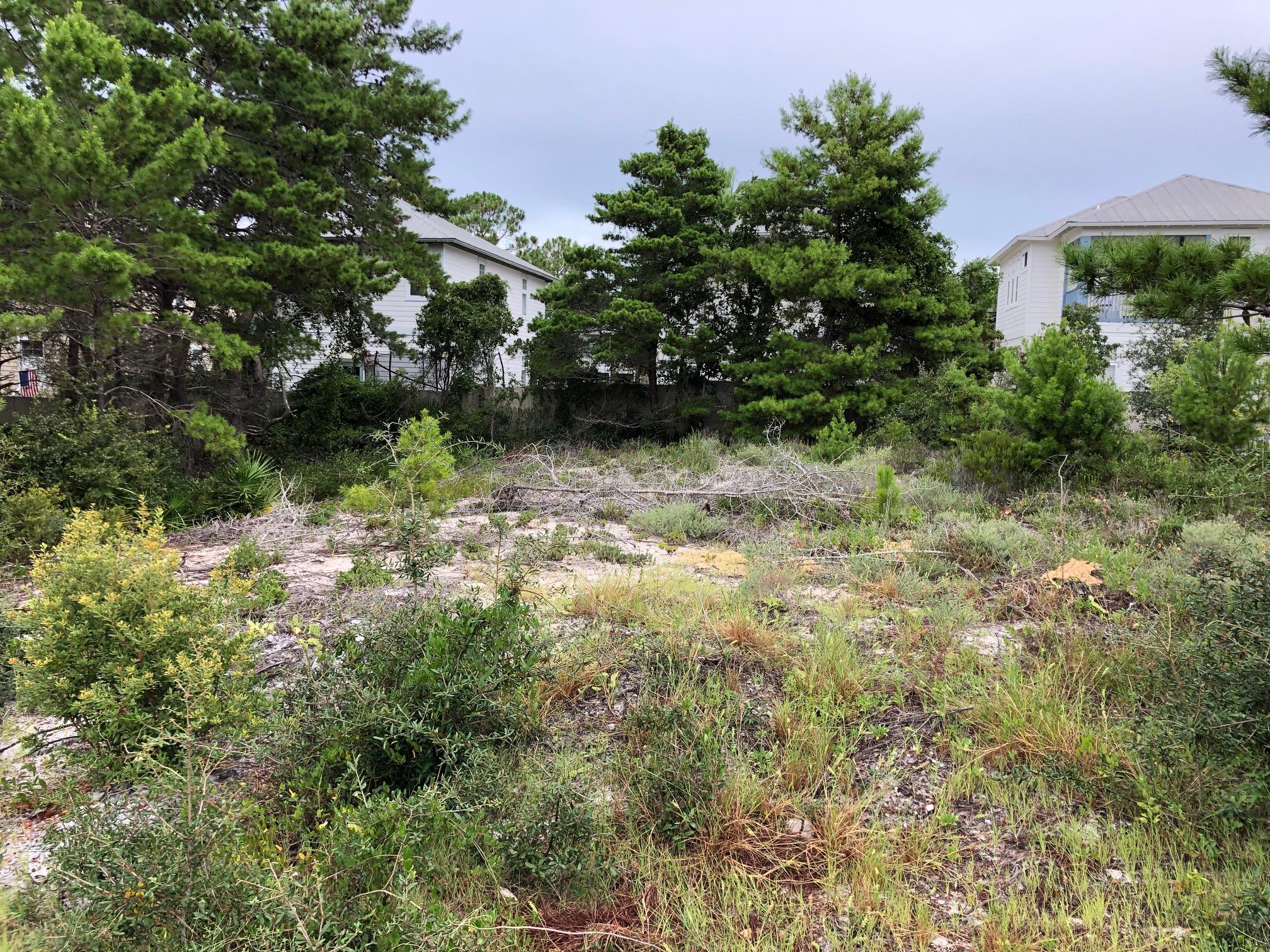 VILLAGE OF WHITE CLIFFS THE - Land