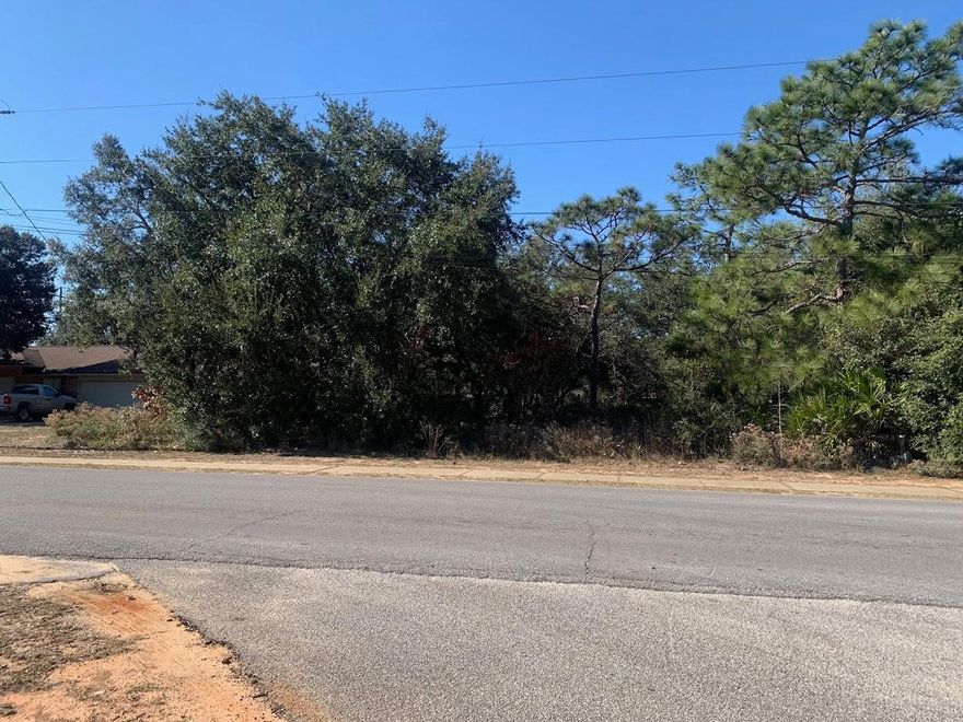 Great lot ready for you to build your dream home! No HOA requirements here so build it how you like it! Located close to the area schools and just a few minutes from our sugar sand beaches this lot is the perfect place to build that home!