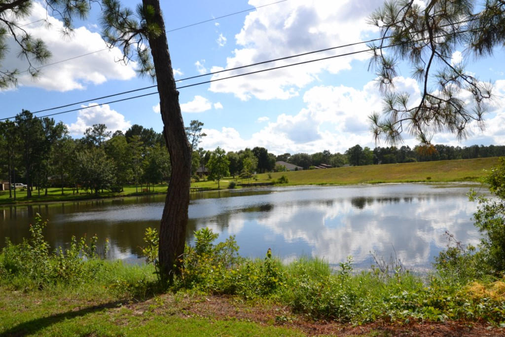 DEL CERRO VISTA 1ST ADDN - Residential