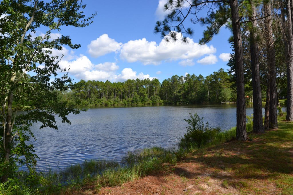 DEL CERRO VISTA 1ST ADDN - Residential