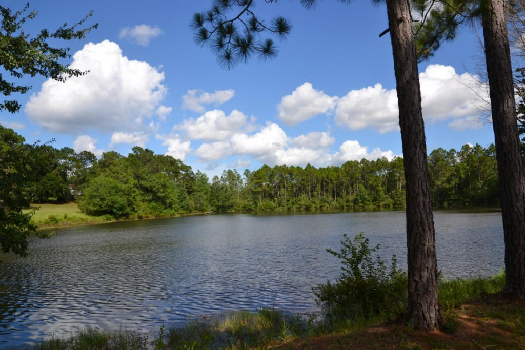 DEL CERRO VISTA 1ST ADDN - Residential