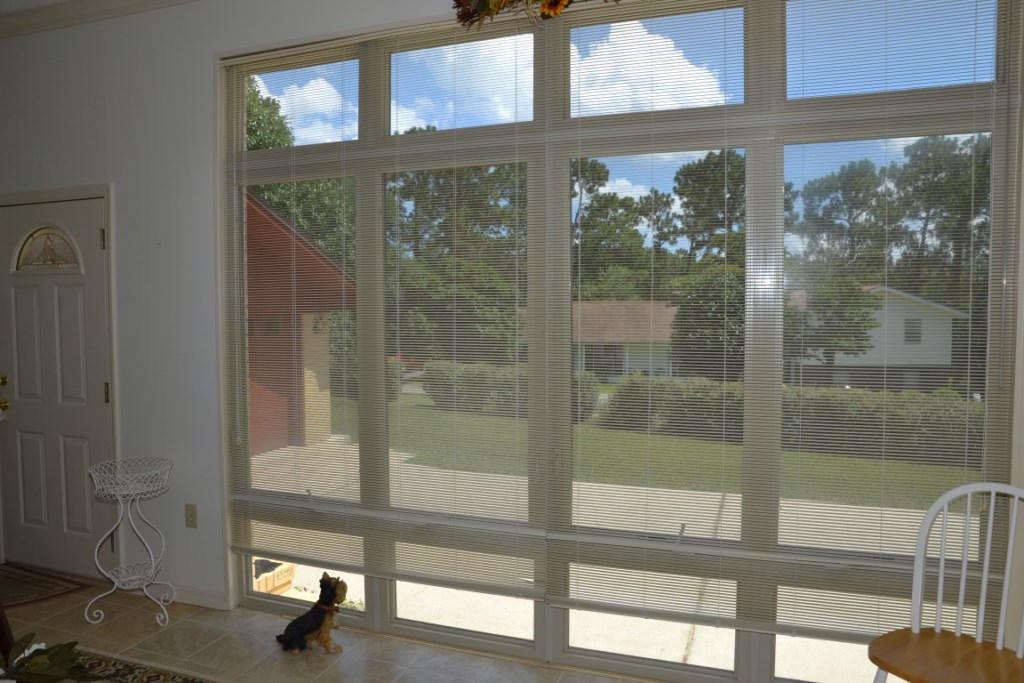 DEL CERRO VISTA 1ST ADDN - Residential