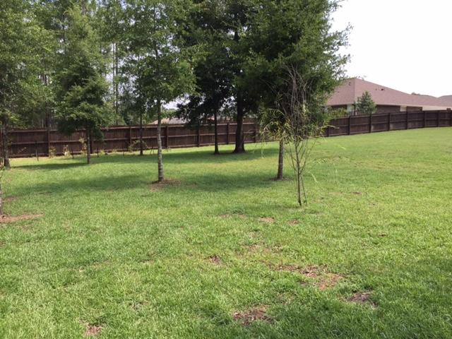 SILVERWOOD - Residential