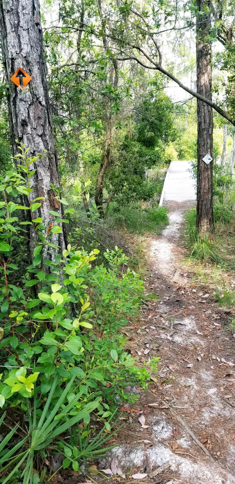 PRESERVE AT GRAYTON BEACH THE - Land