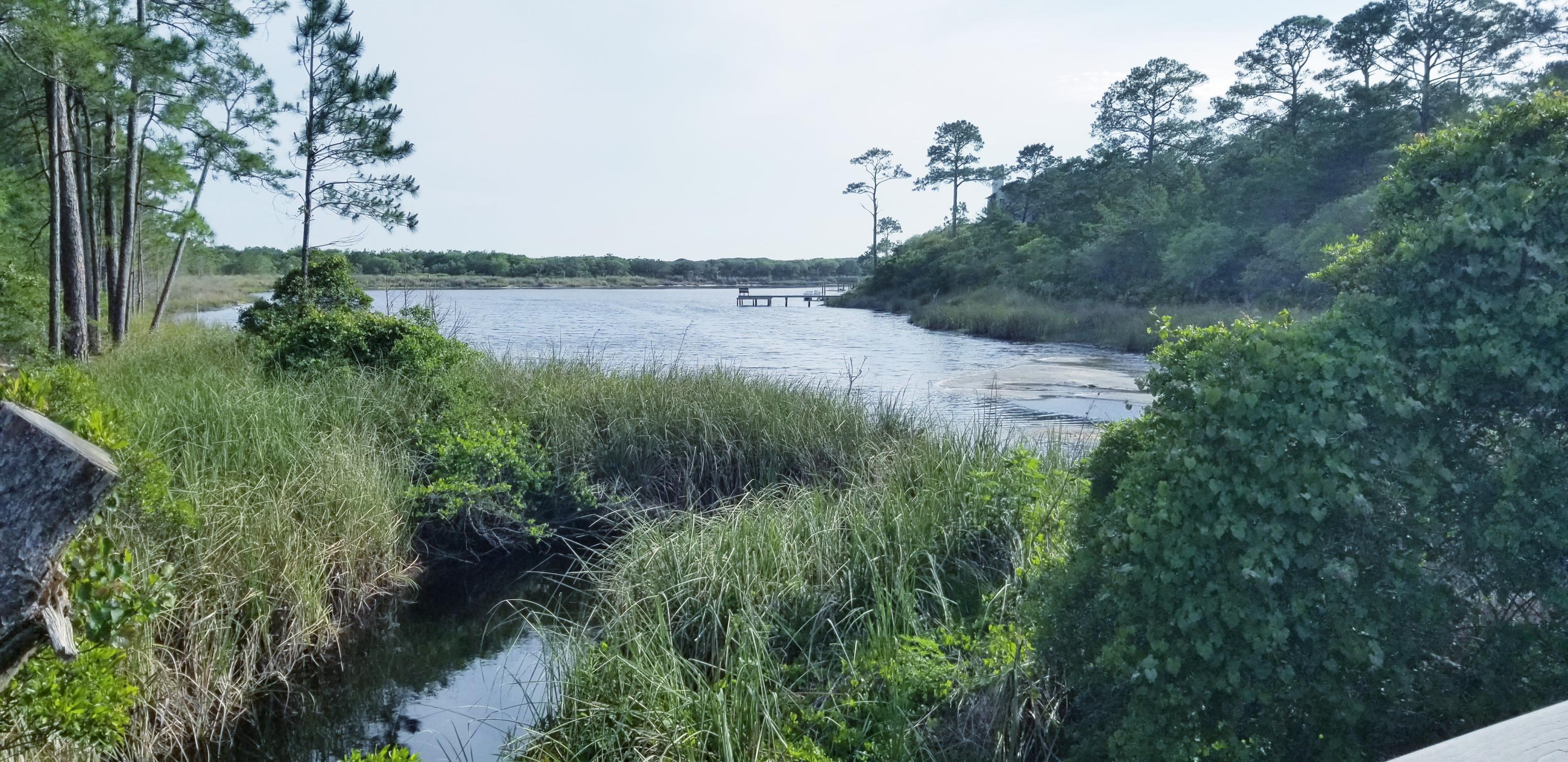 PRESERVE AT GRAYTON BEACH THE - Land