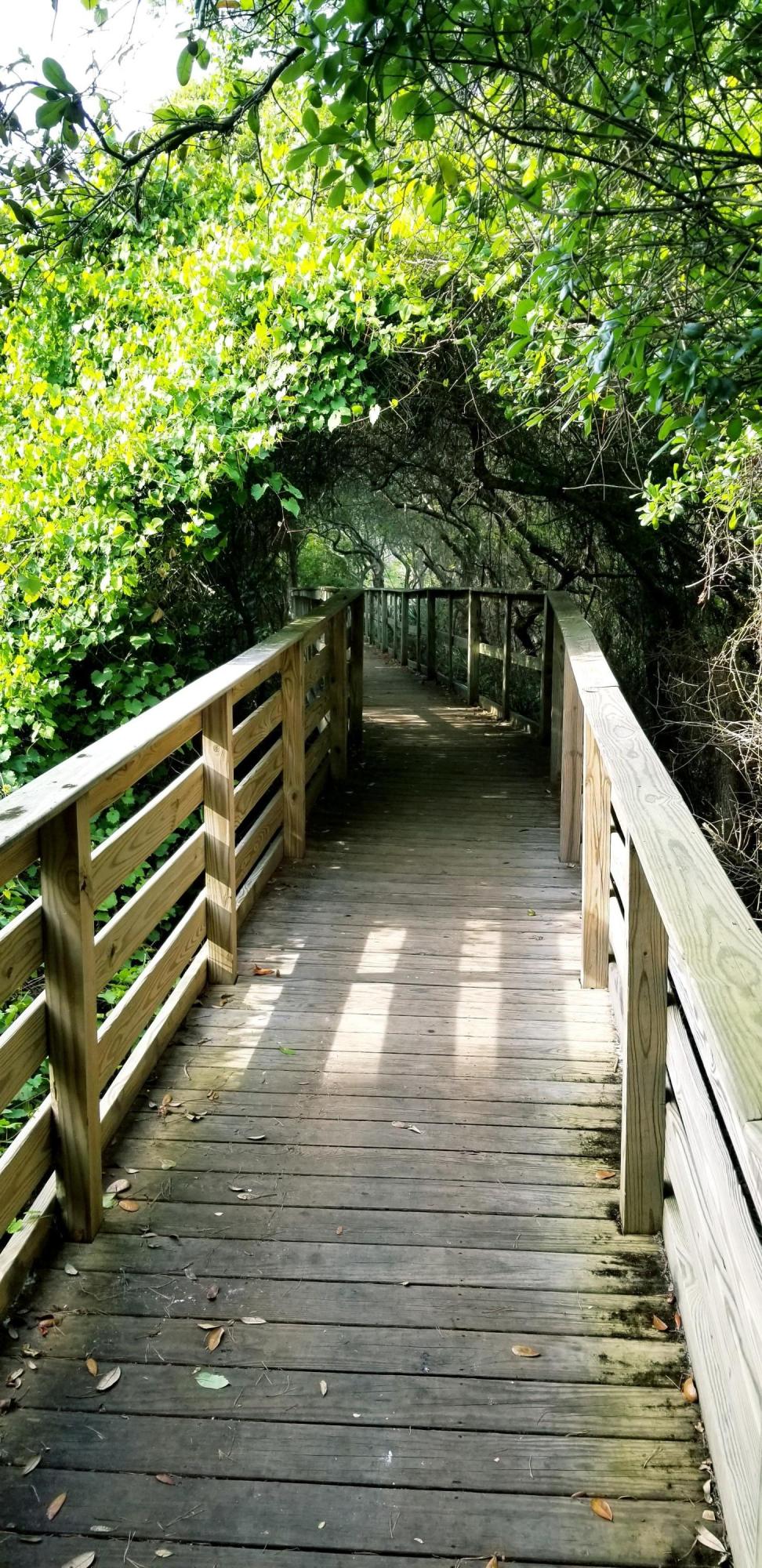 PRESERVE AT GRAYTON BEACH THE - Land