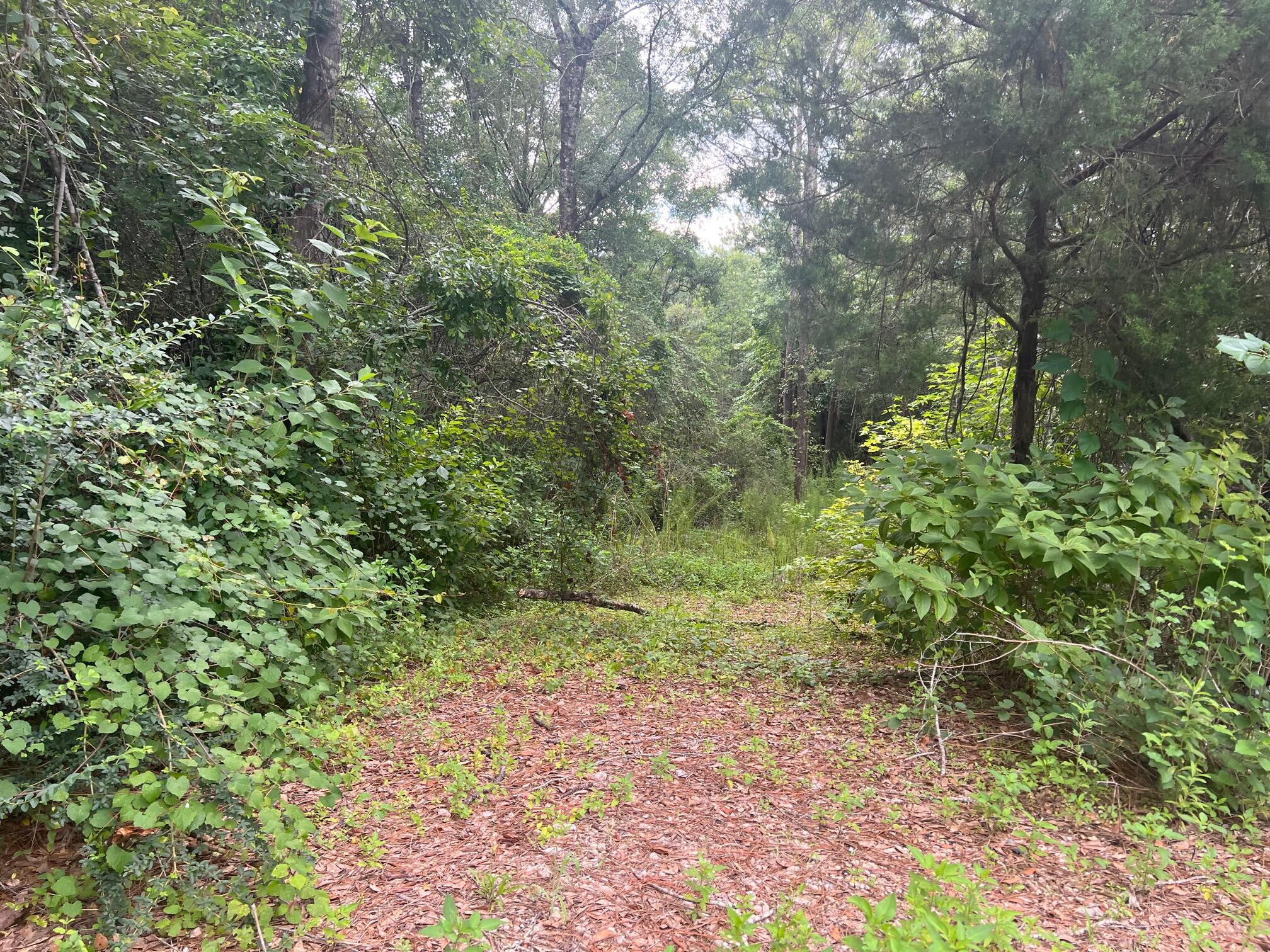 Prime location for this 2.8 acre parcel, located less than 5 miles from downtown historic Defuniak Springs and 6 miles to I-10. Quiet country living but only minutes to shopping, dining and schools. Miller Rd. is a county maintained Rd. of crushed asphalt. The property is only 650 ft. off fully paved road. Great opportunity to own acreage so close to town. Property does gently slope down towards the center and back up. Electric does run along Miller Rd. Well and septic would be required.