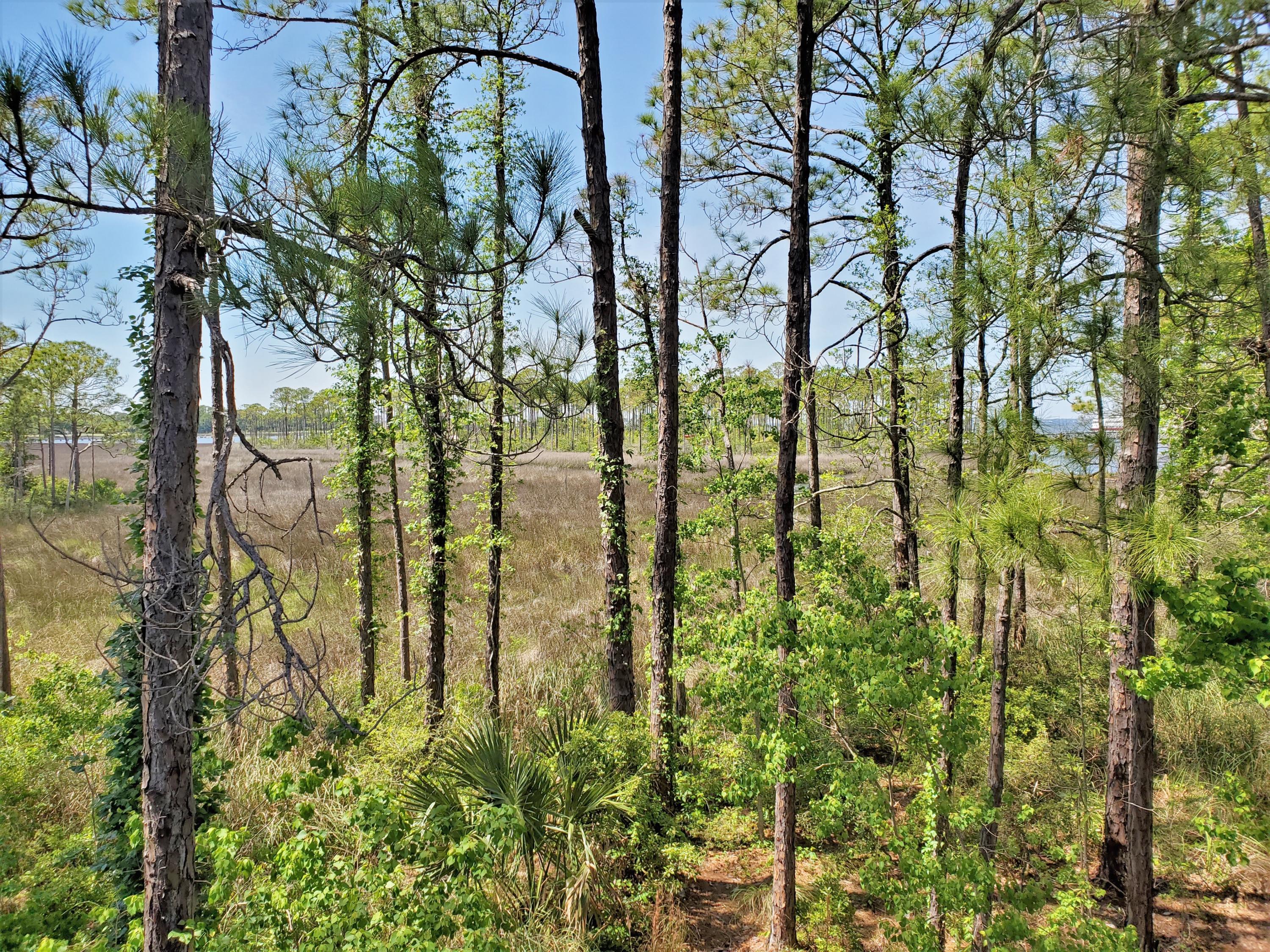 BAYPINES (SANDESTIN) - Residential