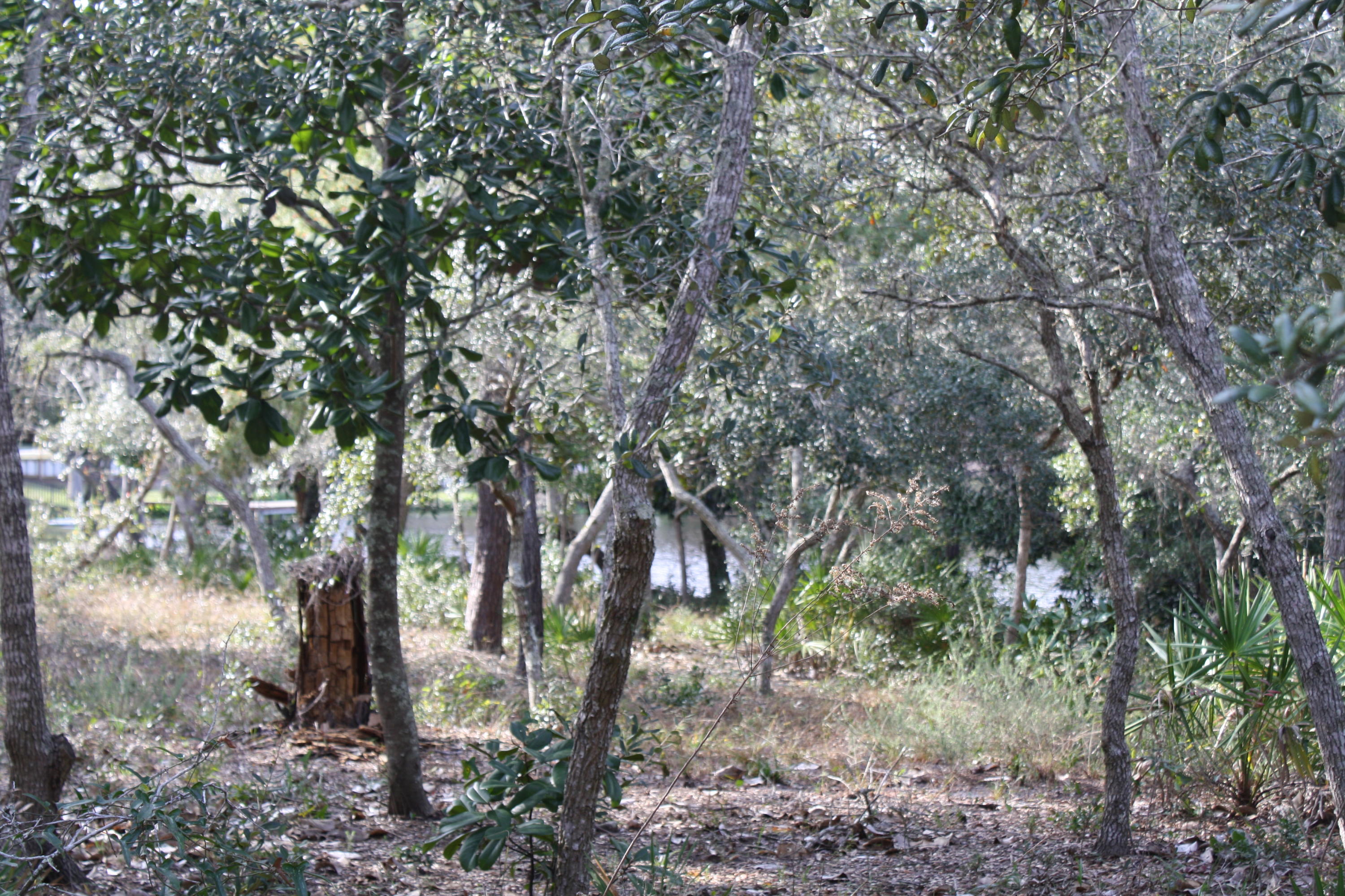 KELL-AIRE GARDENS - Land