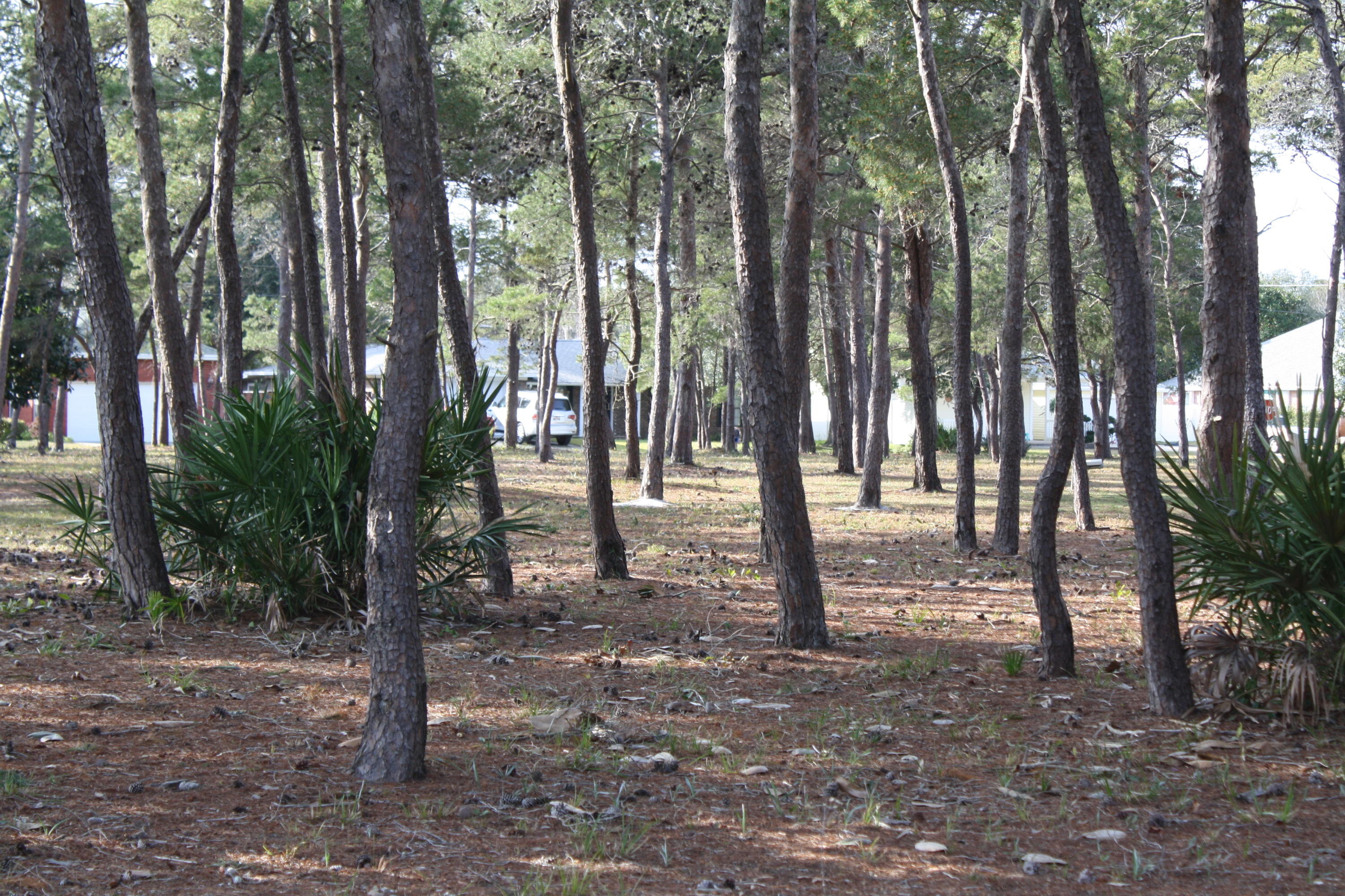 KELL-AIRE GARDENS - Land