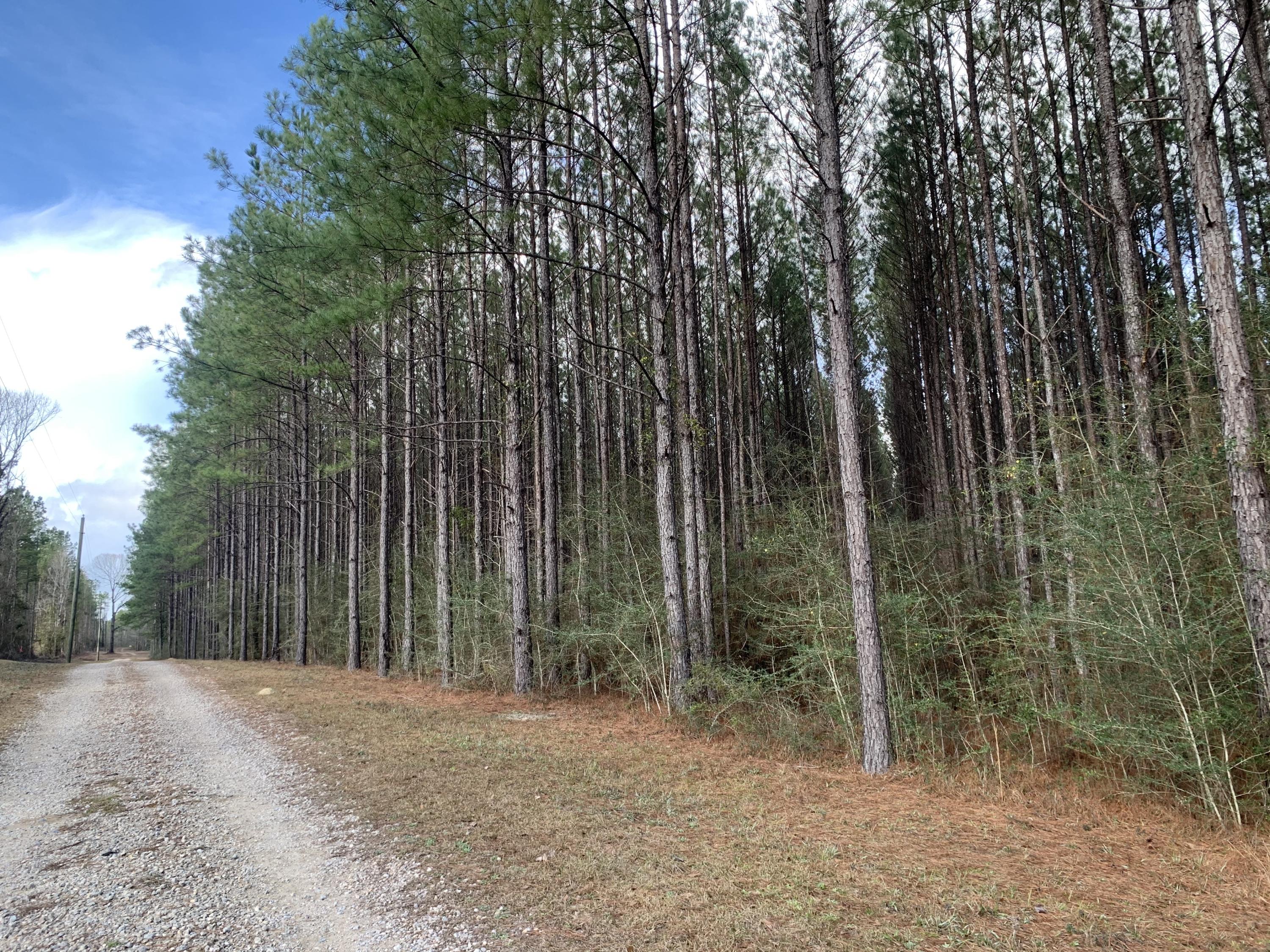 Welcome to the country! Just minutes from Blackwater. Hop on your horse or bike and ride down for a fun day at the river. This tucked away lot is very peaceful and there's plenty of room to grow. Bring your floor plans today!