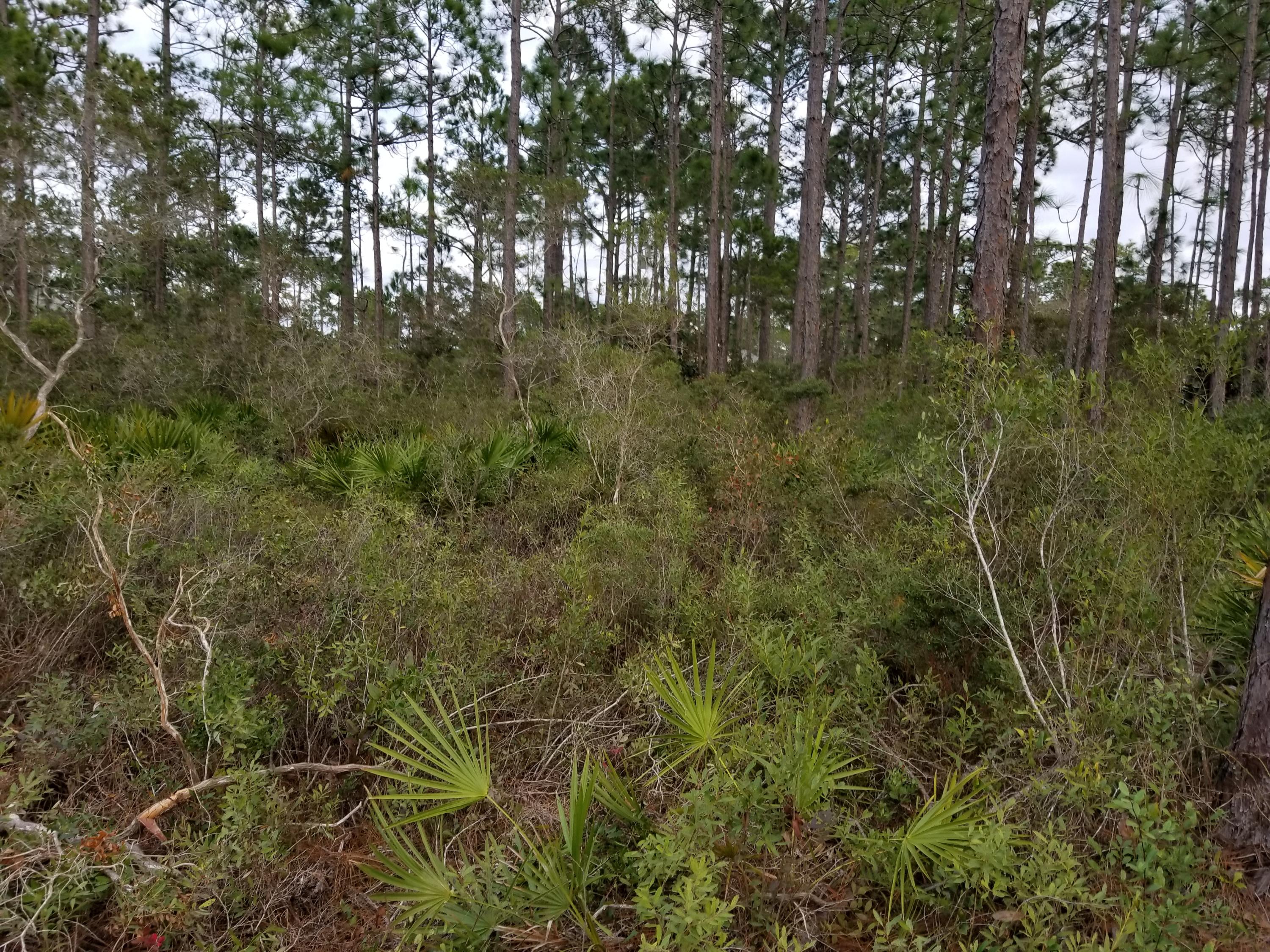 High and dry level lot,minutes from Silver Sands Outlet,Scared Heart Hospital,groceryshopping and sugar white sand beaches.Buy now and build later,motivated seller.