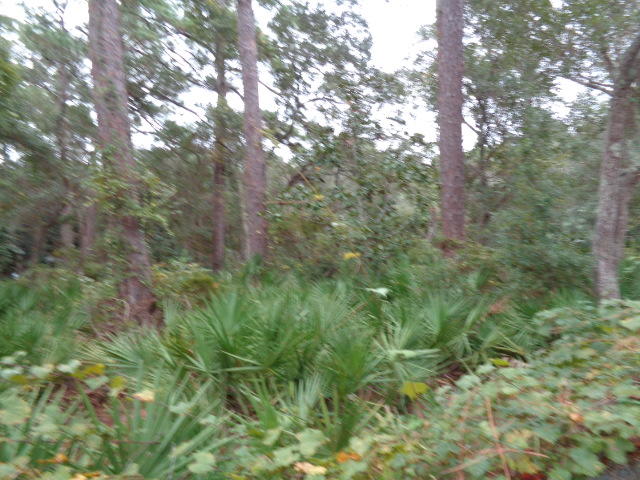 Santa Rosa Beach Estates - Land