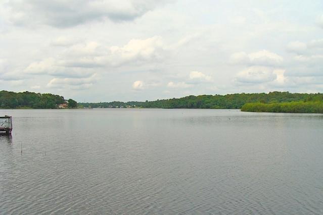 BIG WATERFRONT LOT ON KINGS LAKE -- Here's 2 large lots included in one parcel totaling over three-fourths of an acre with over 100' of waterfront, ready for you to enjoy. Your fishing pleasure is assured on beautiful Kings Lake, full of bass, brim and crappie. This wooded lot has electricity and community water at the street (tap fee due). Clear as much or as little of the woods as you like in order to place your mobile home or build your dream house and a dock. It doesn't get much better than this! All dimensions and acreage are approximate and subject to verification by buyer at buyer expense.