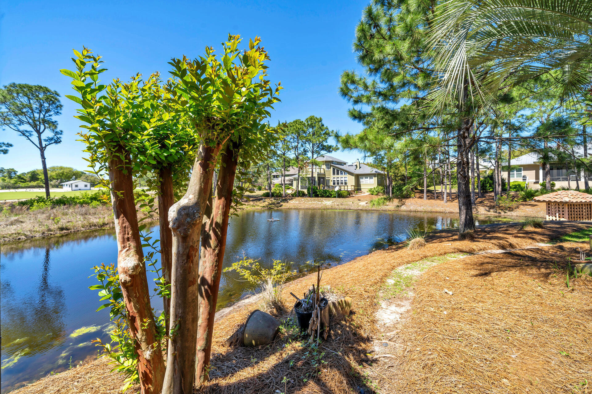 Bellamar - Residential