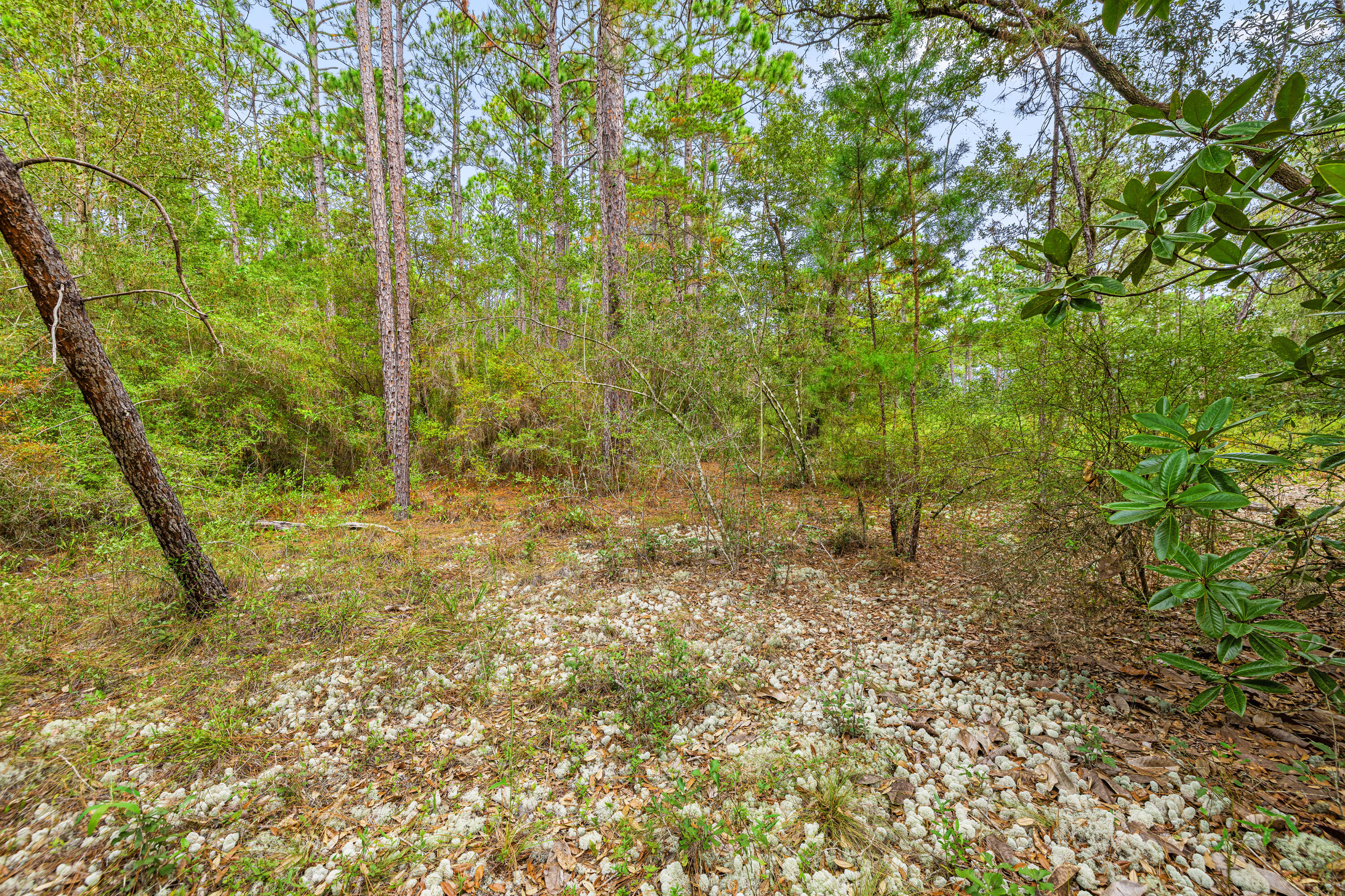 NO RECORDED SUBDIVISION - Land