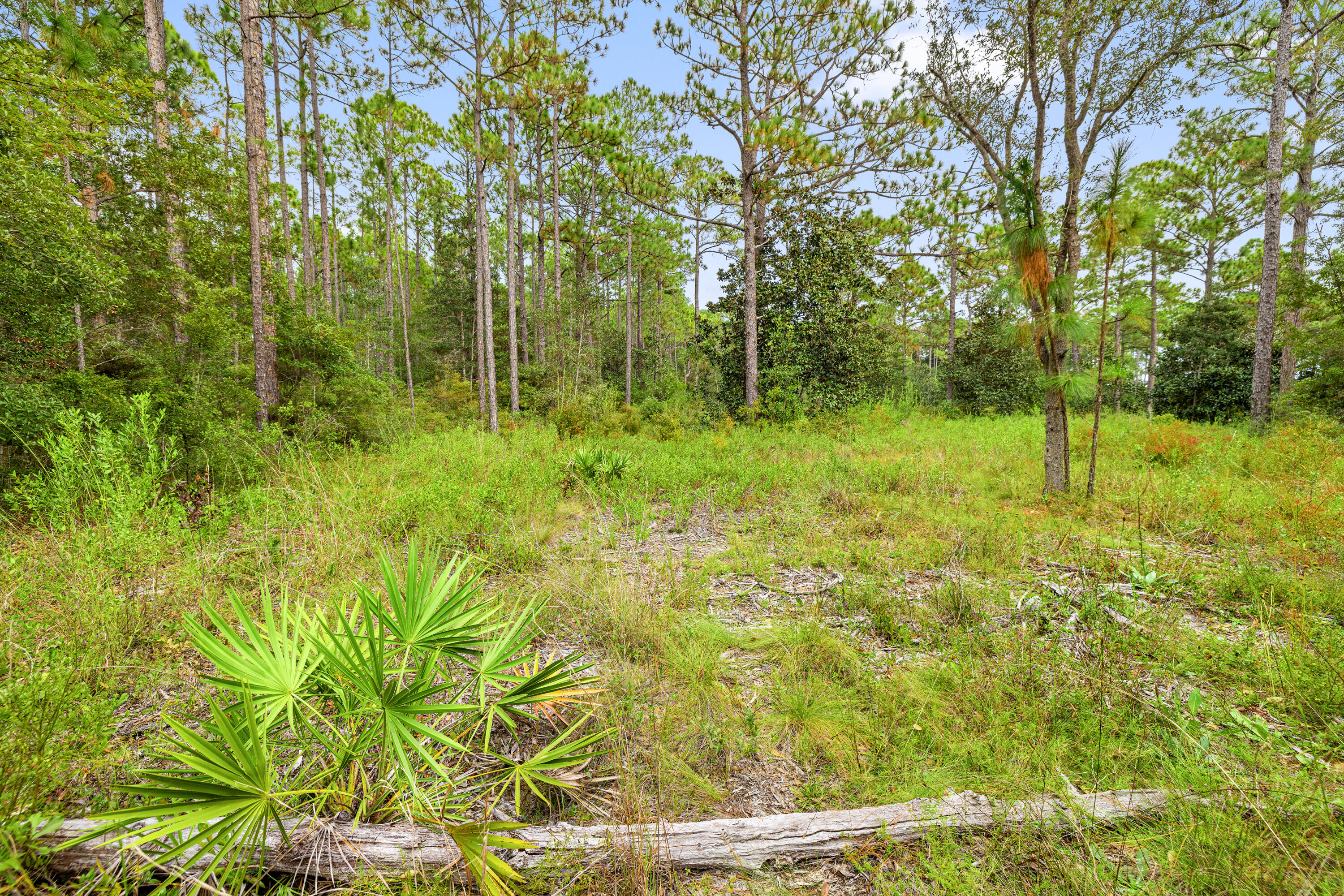 NO RECORDED SUBDIVISION - Land