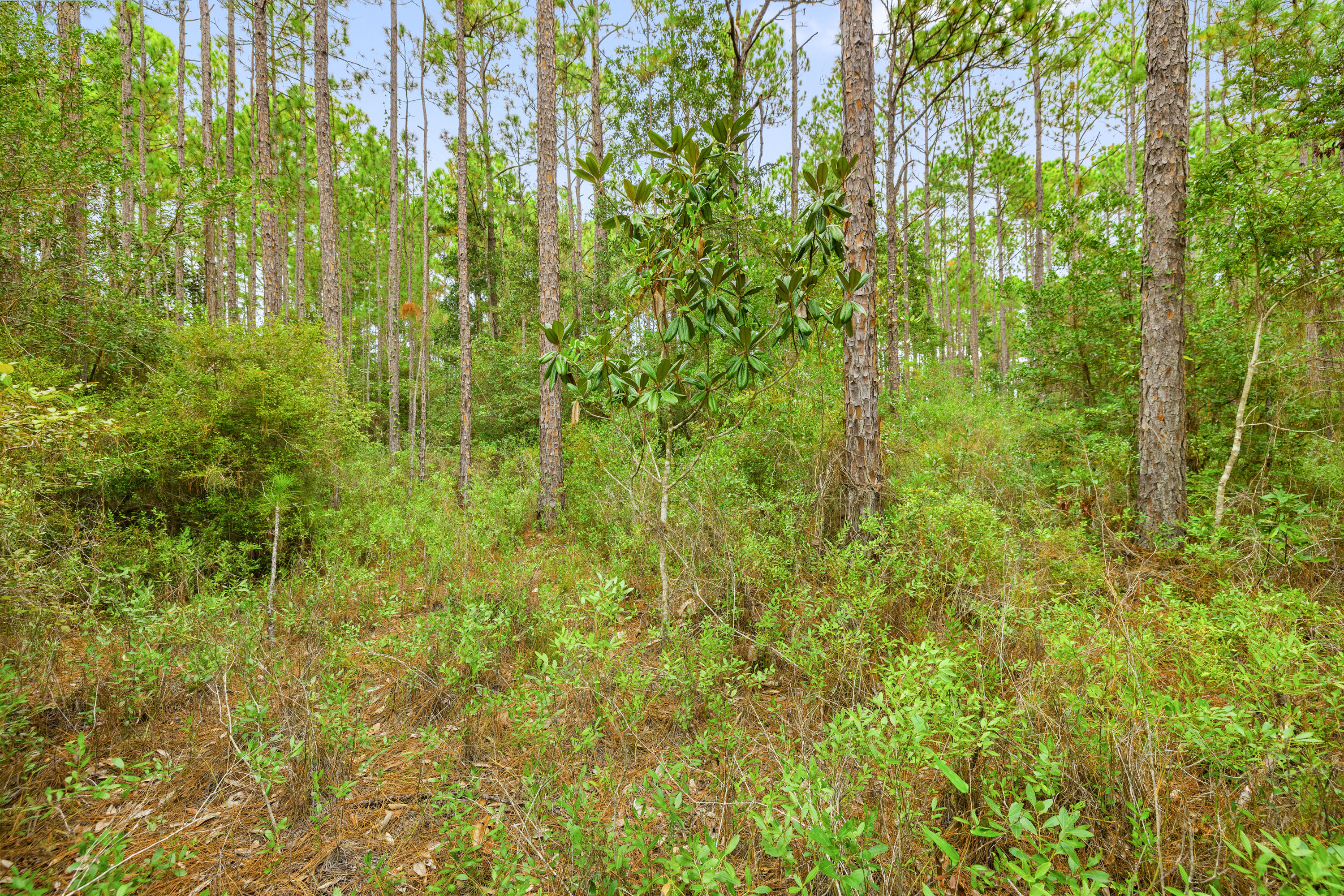 NO RECORDED SUBDIVISION - Land