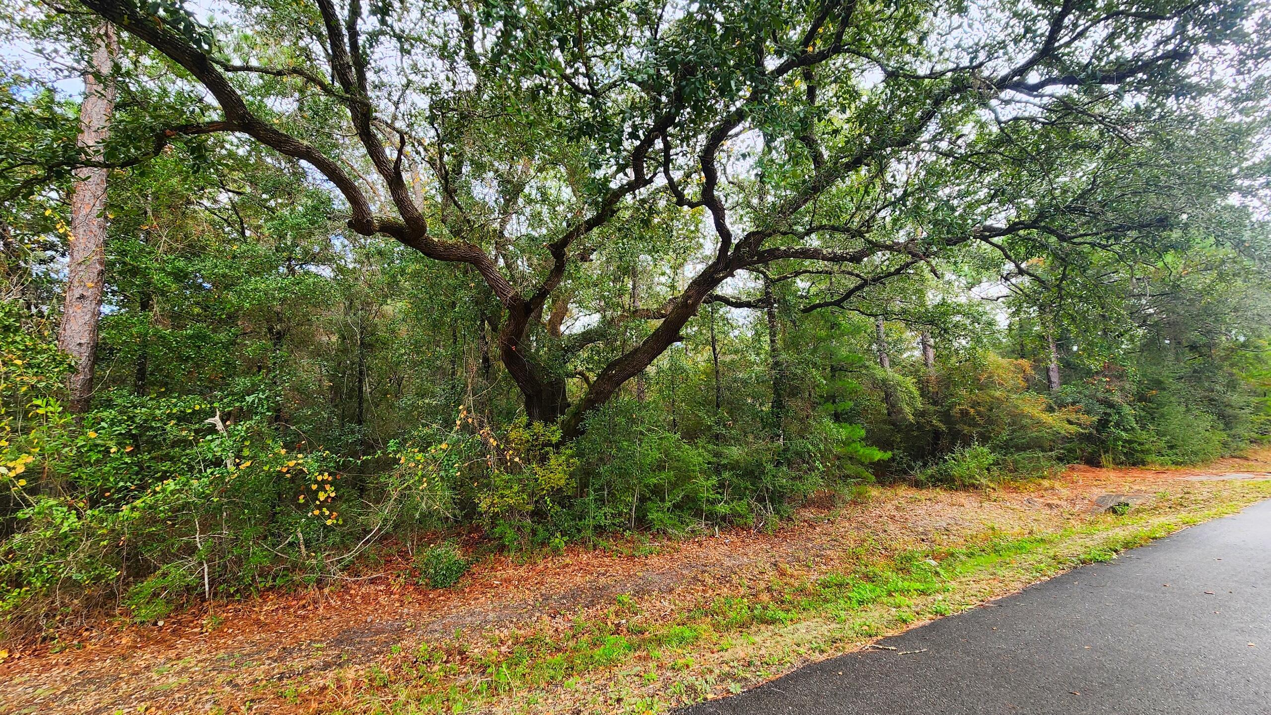 Here is a rare opportunity to own a large tract of land. 10 Acres of beautifully wooded land, Centrally located in the fast growing city of Freeport. Just 20 minutes to the beach and approximately 34 minutes to the nearest Eglin AFB gate. Great property for development.SURVEY AVAILABLEBuyer to verify all lot detentions, zoning, access and information deemed important.
