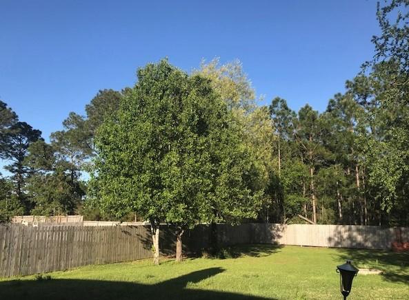 NO RECORDED SUBDIVISION - Residential