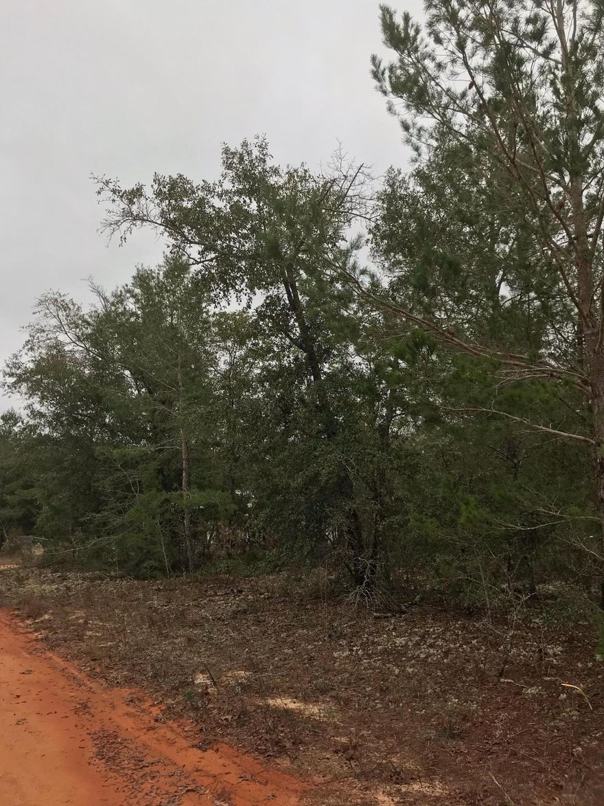 GREAT INVESTMENT OPPORTUNITY!!!!! TWO quarter acre lots that can be sold individually or bundled together for a better price! Priced to SELL!!!! Check out this level quarter acre lot that is ready for you to build or place your manufactured home on. This location is conveniently to I-10 & 285, which makes it convenient to DeFuniak Springs, Crestview & Niceville. Seller has multiple lots available, call today to find out how to bundle and buy more for LESS!