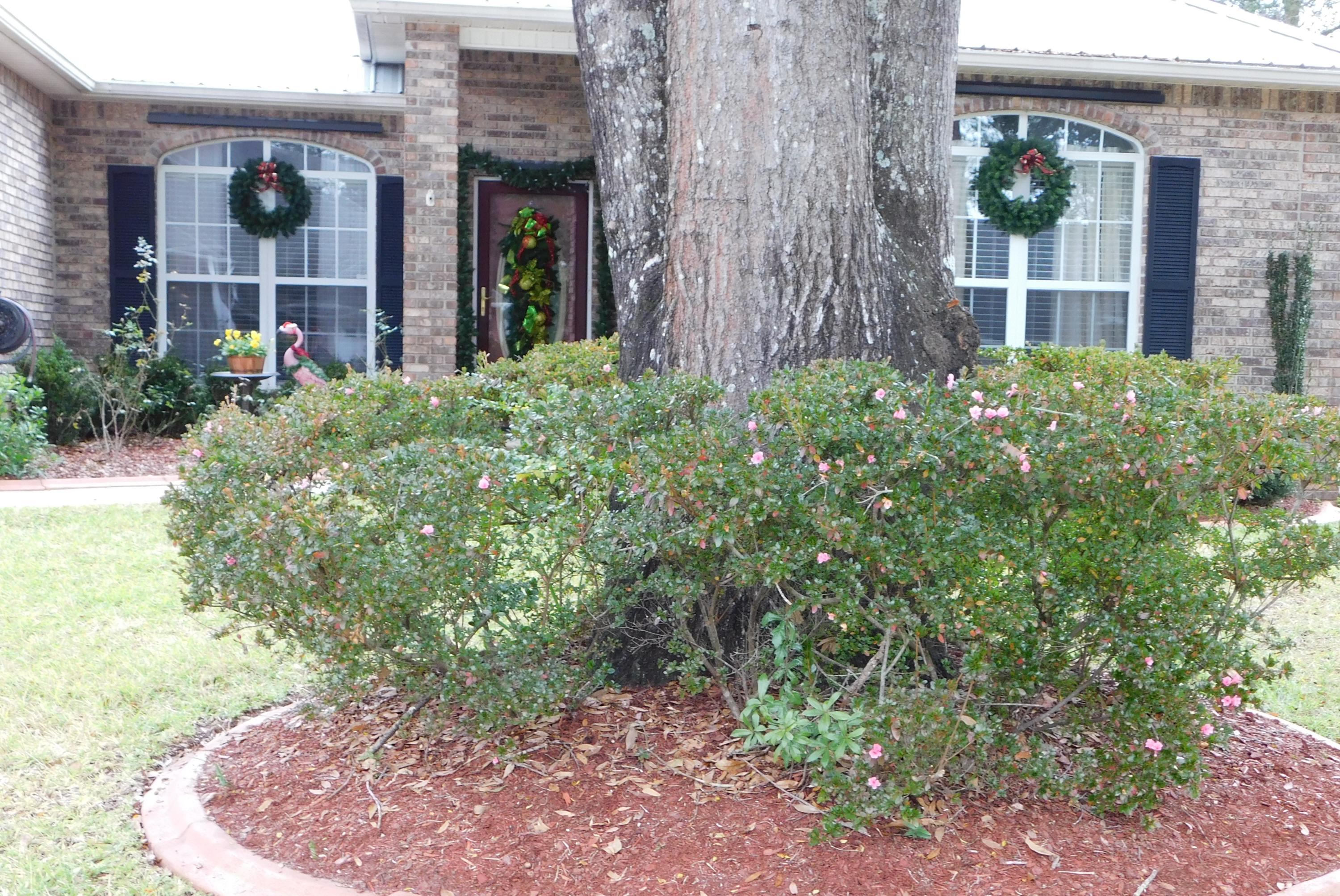 PINNACLE POINT - Residential