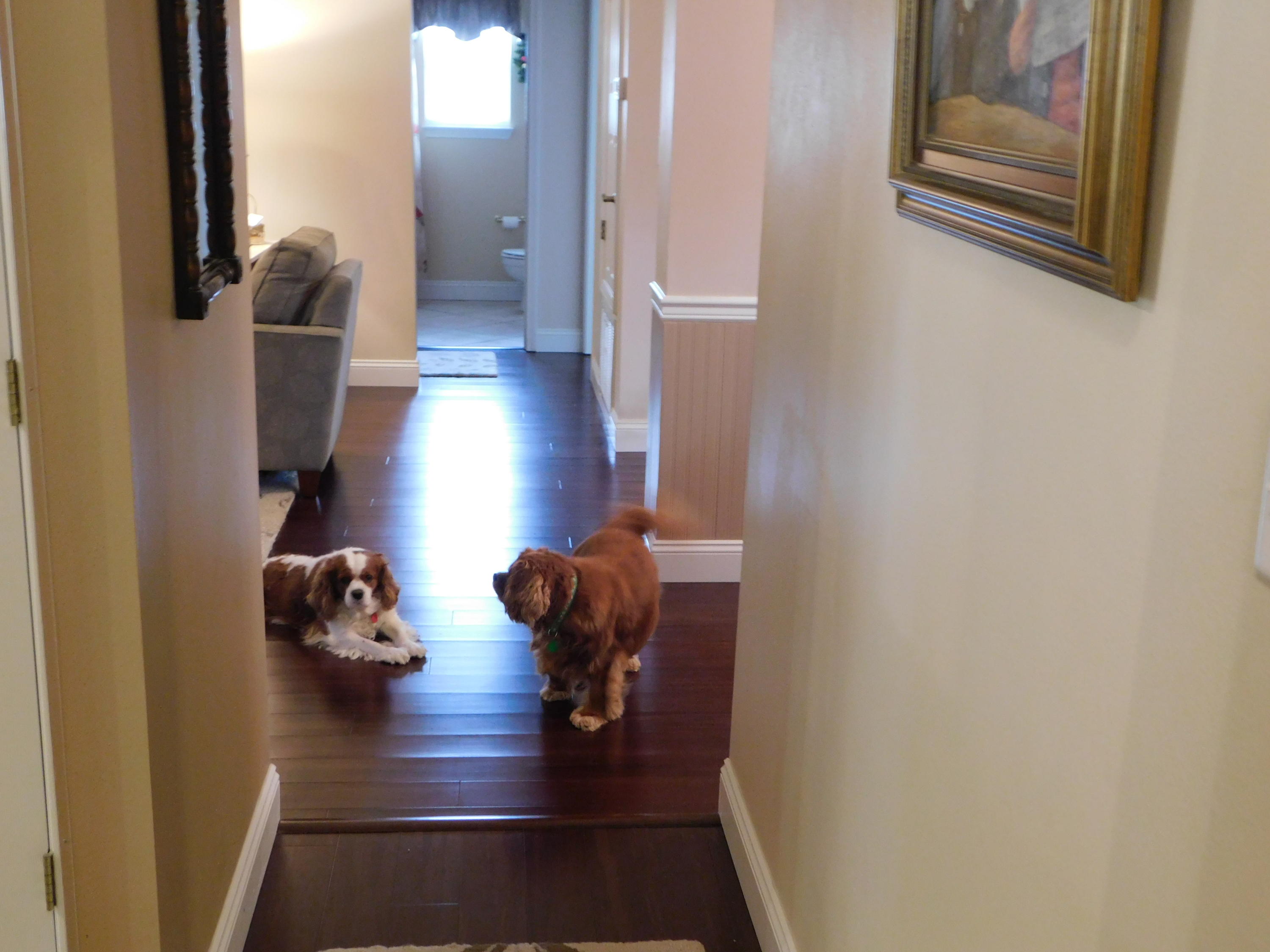 PINNACLE POINT - Residential