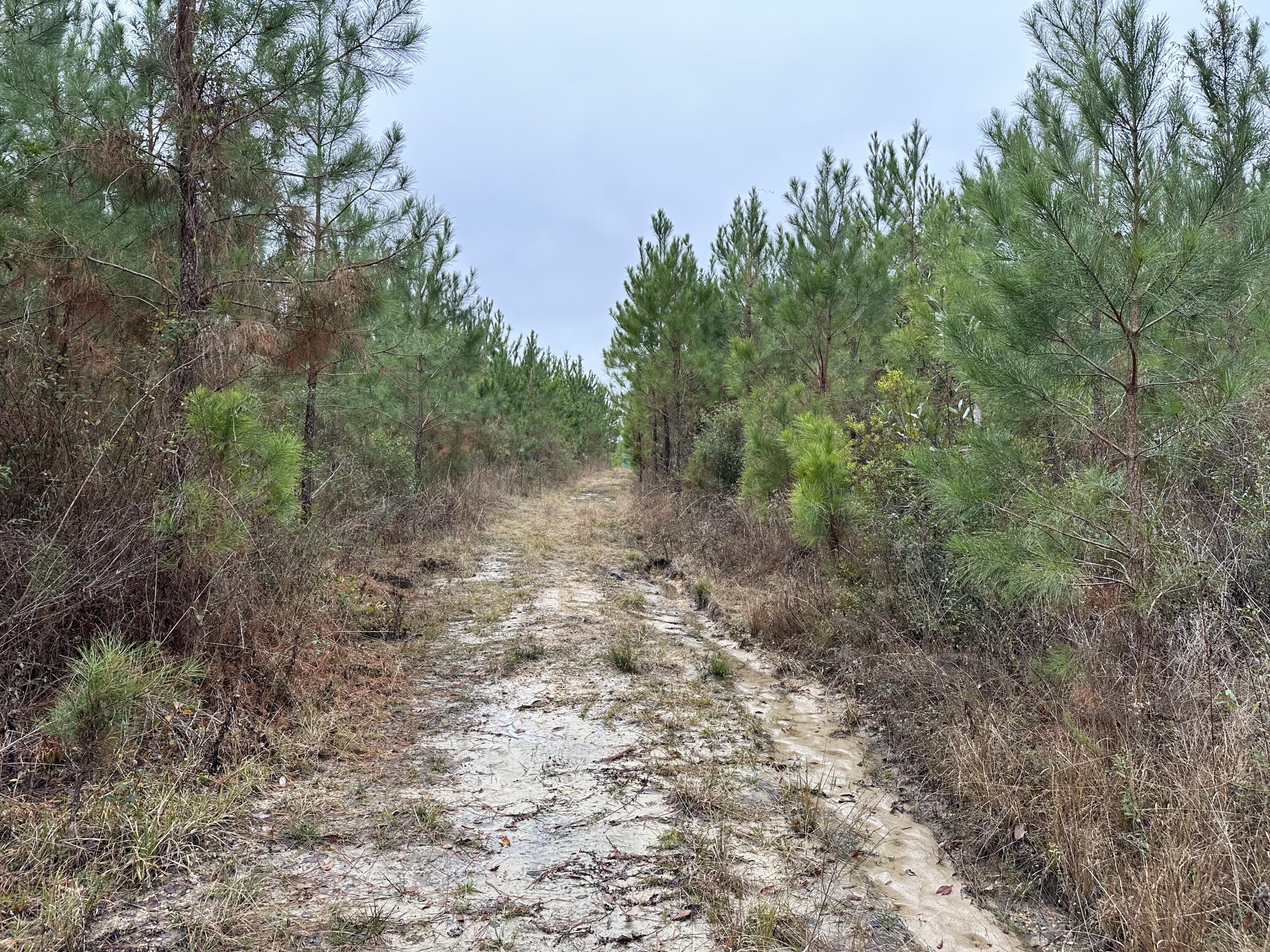 METES & BOUNDS - Land