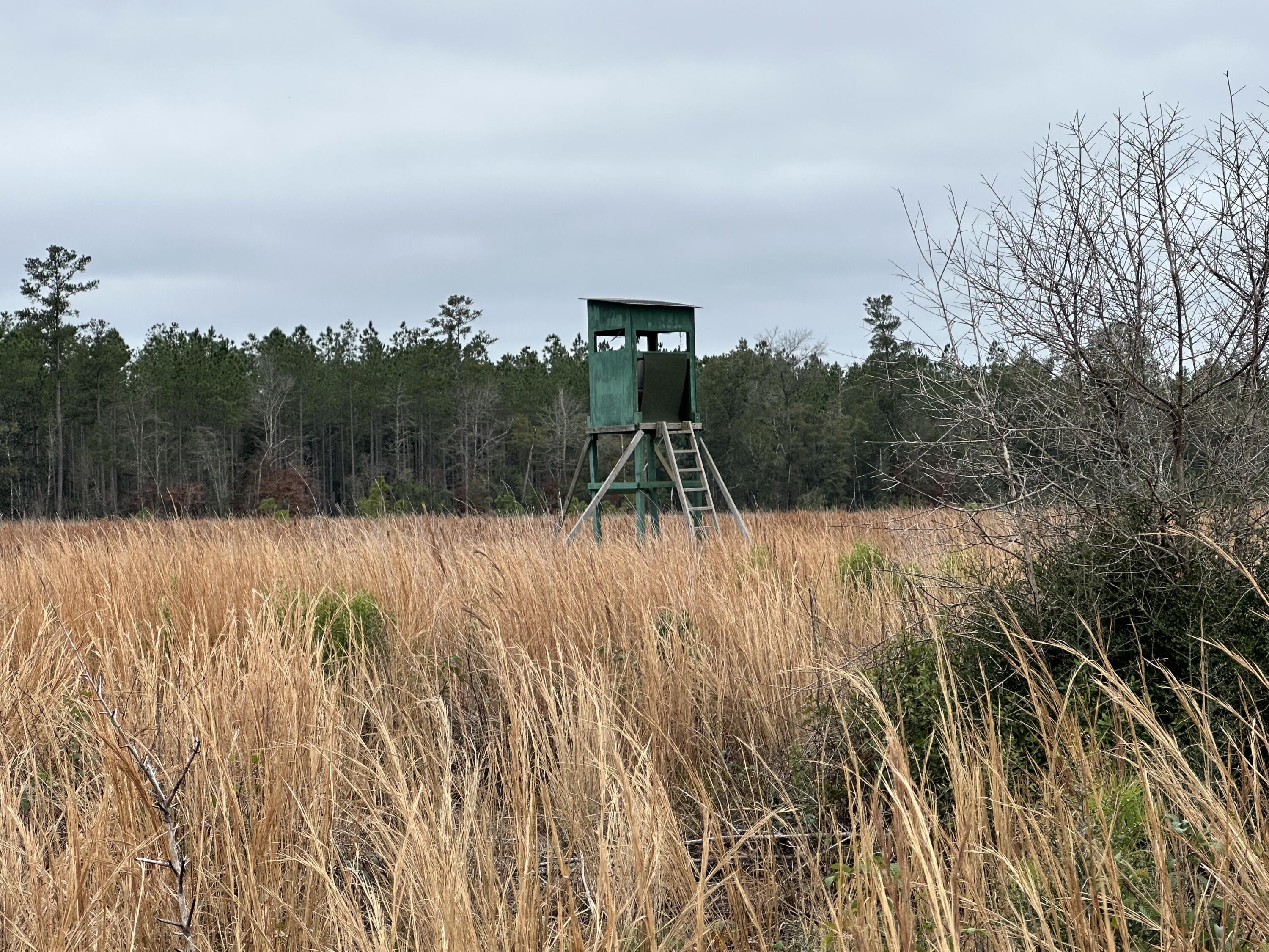 Dream Location for Country Living or Hunters Paradise either way you won't want to miss this opportunity! This Beautiful 120.46 +/- Acres of land. Bring your build plans, hunting gear, horses, and ATVS. LOCATION LOCATION!!!! This Property has easy access to Hwy 79, Hwy 77, Hwy 2 and County Rd 65. Also easy to head south to Panama City Beaches or north to Alabama. C I-10, Hwy 79, Hwy 81, and Hwy 90.