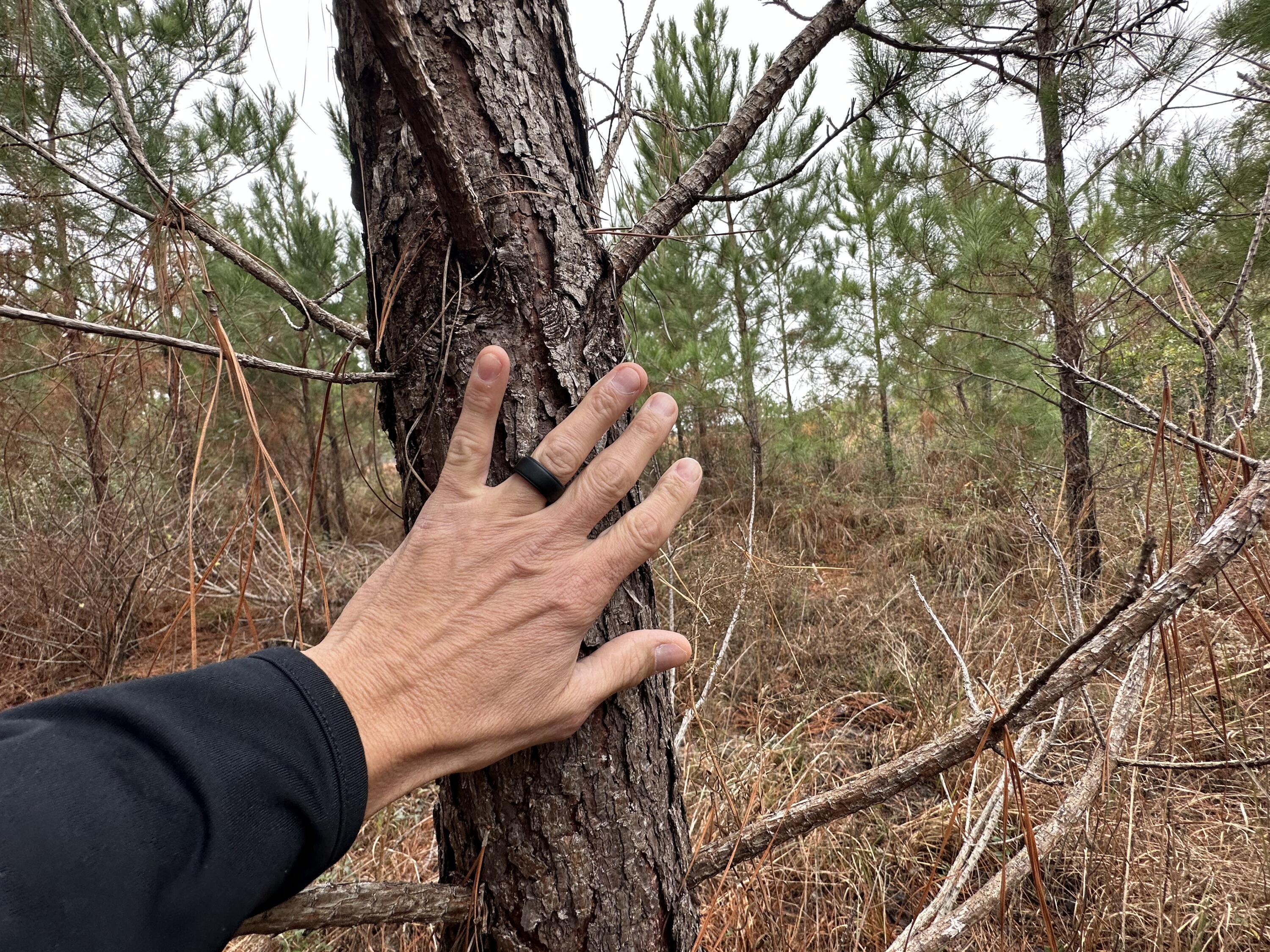 METES & BOUNDS - Land