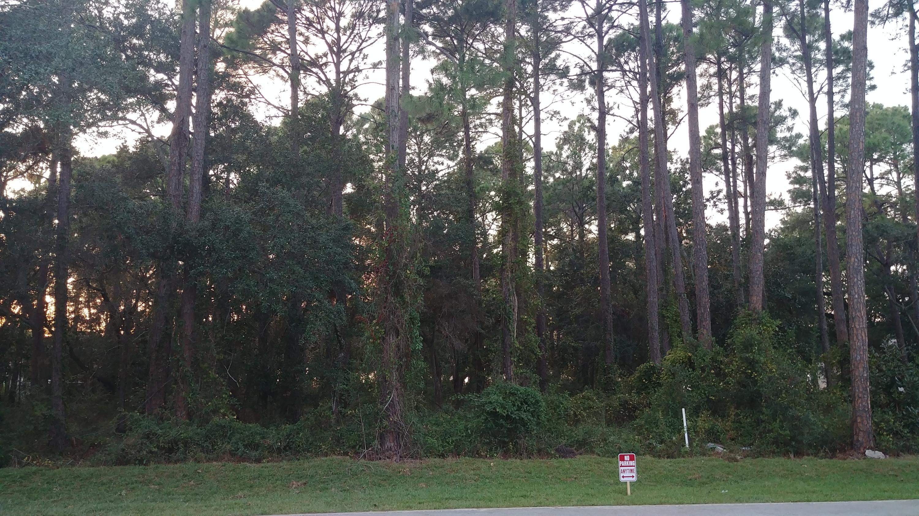 DRIFTWOOD ESTATES - Land