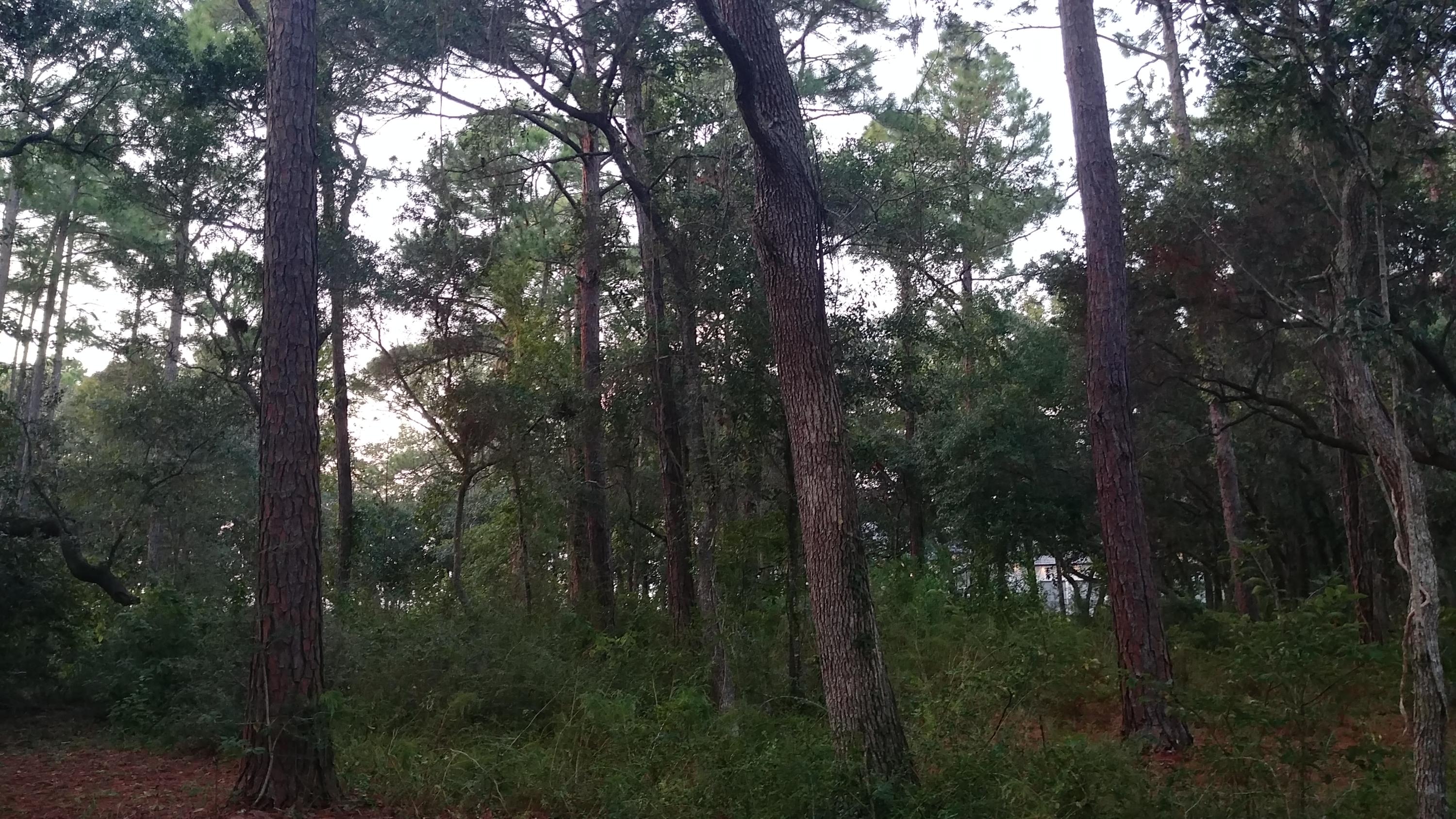 DRIFTWOOD ESTATES - Land