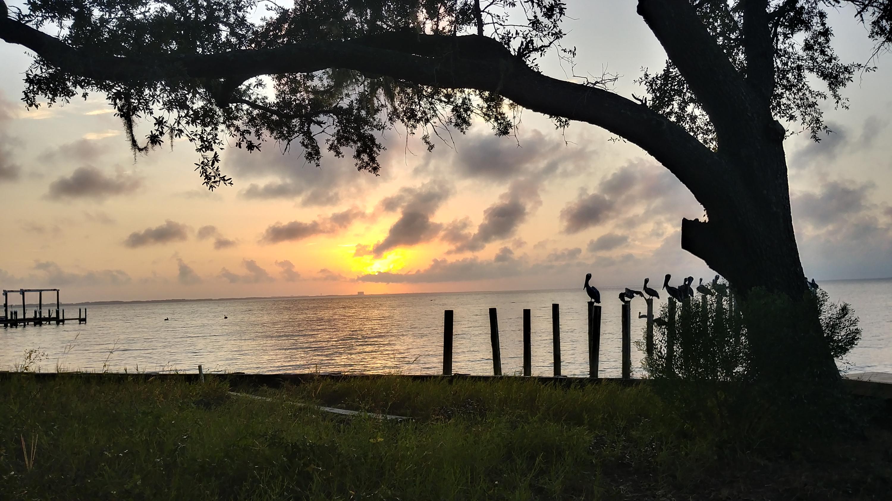 DRIFTWOOD ESTATES - Land