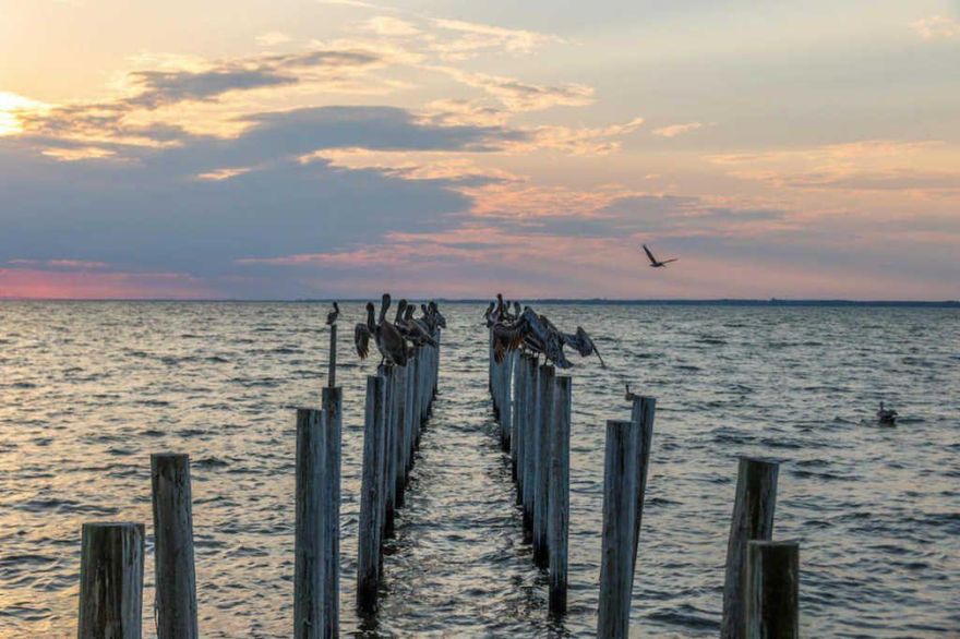 (2) LOTS! BEST SUNSETS ON THE BAY!!!(SEE VIDEO) Driftwood Estates' Finest Waterfront Parcels!! TWO of the most high and dry contiguous parcels in driftwood, measuring approximately 2.15 acres with 174'+ of prime frontage on the scenic Choctawhatchee Bay on which to build your custom dream home and expansive family compound. This irreplaceable setting is so tranquil, enhanced by its gorgeous mature, moss-filled oaks trees. Your new homesite is convenient to the Destin and Scenic 30A's best restaurants and shopping, such as Grand Boulevard and Publix, and close proximity to excellent medical services at Sacred Heart Hospital! Property survey is available upon request.Buyer to verify all information