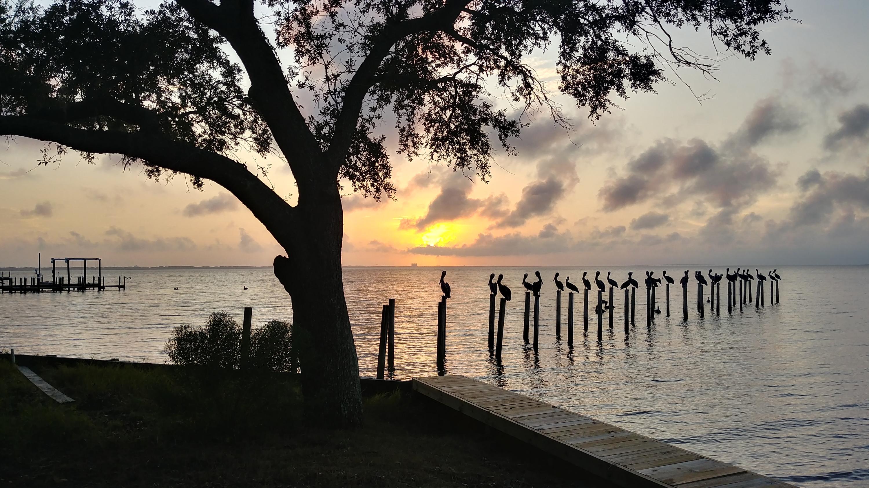 DRIFTWOOD ESTATES - Land