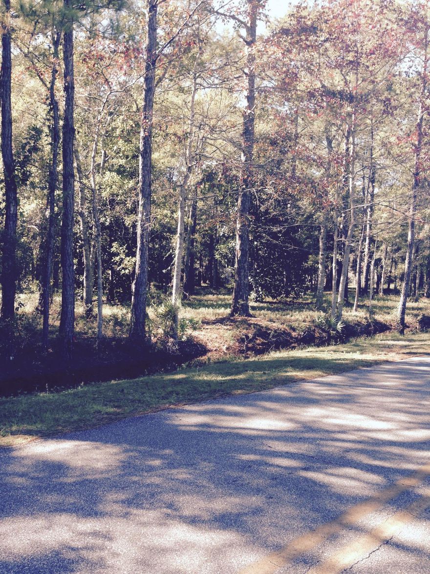 Looking for a large lot to build your home on? This is the place! Beautiful large trees throughout the lot and a view of the Bayou.