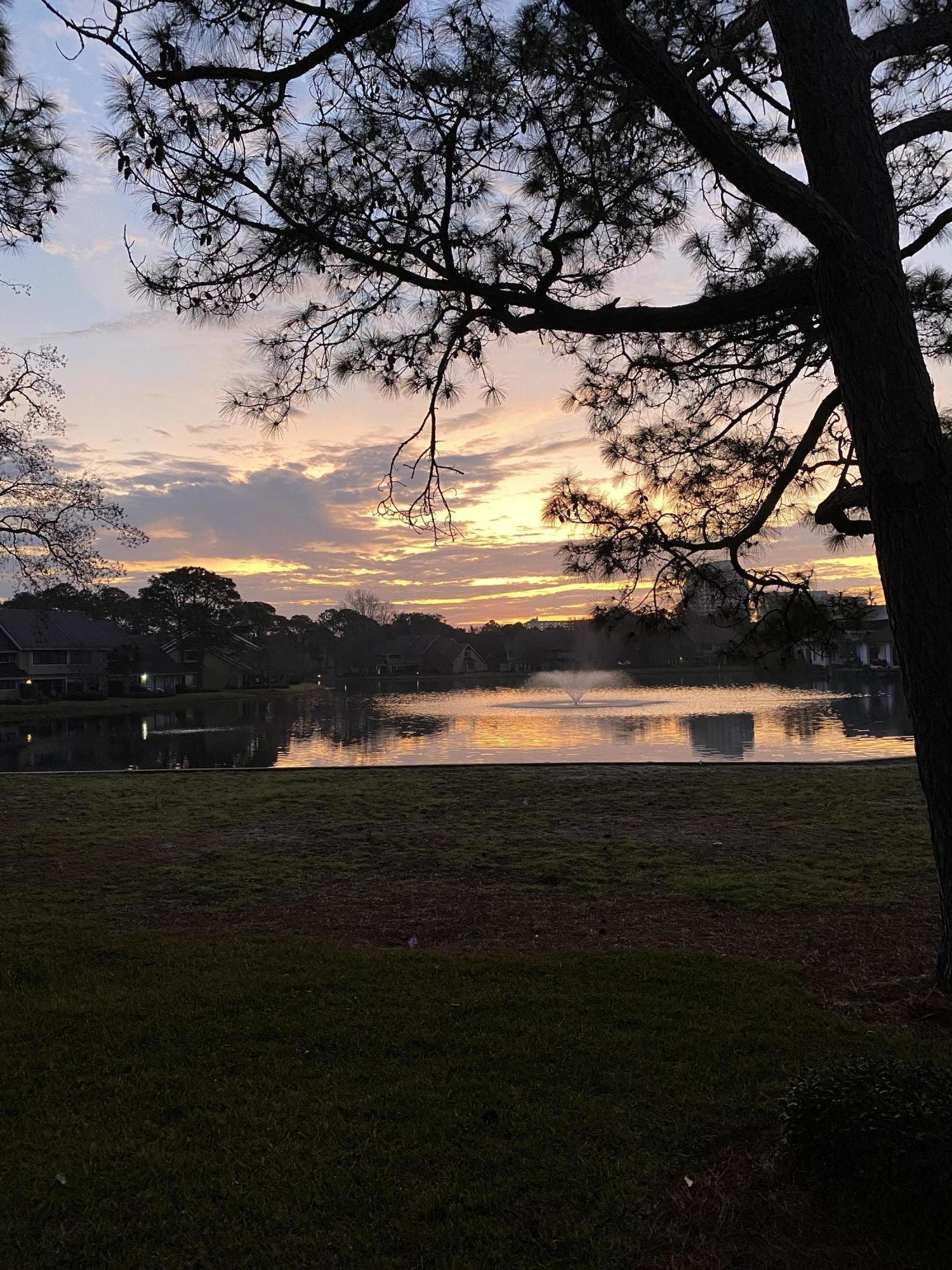 BREATHTAKING LAKE VIEWS with brand new deck. BEAUTIFULLY RENOVATED in 2019... 2 Bdrm / 2.5 Bath Townhome in Sandestin Golf & Beach Resort. Beachwalk Villas is located on the Southside just a short distance to the BEACH! Fully Renovated Kitchen AND Bathrooms w/ Custom Cabinets / Granite Countertops / Office nook! Other Features and Updates Include: Luxury VP Flooring / California Closets in every closet / Private Courtyard / Hurricane windows/doors w/ a 20 year Warranty / Recessed dimmer lighting / Outside Storage / Seasonally Heated Community Pool. Master Suite Features: Lakefront Views / Fully Renovated Master Bath w/ Ceramic Floors / Hot water Booster / Custom Tiled Shower / Deep bathtub / Double Vanity / Kitchen appliances purchased 2019 included. Current Owners never rented the condo.