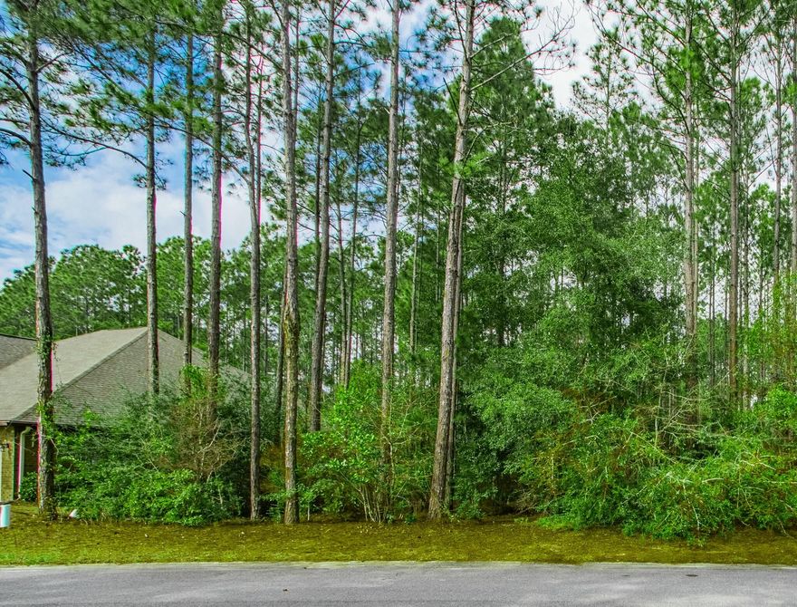 No outstanding CDD bonds on this property!!Here is your chance to own a lot in Symphony in Hammock Bay!  Symphony is known for its mature trees that shade the sidewalks, and with homes from different builders, the neighborhood stands out for its unique and varied designs. At the end of the cul-de-sac on Concert Court, you will find access to the Hammock Bay Trail system, offering miles of beautiful, shaded hiking and biking trails. The property spans over 1/3 of an acre, with plenty of room to spread out, and it backs up to a tranquil nature preserve. Schedule a showing today and experience living within the sought-after Hammock Bay community, where comfort, style, and functionality harmoniously converge. Hammock Bay is a one-of-a-kind master planned community located less than 20 miles north of the white sand beaches of the Emerald Coast. Hammock Bay offers quite the list of amenities for owners to enjoy with more being constructed as we speak! Some of the current amenities include a 6,000 square foot clubhouse with meeting rooms and professional caterer's kitchen, events room, workout and fitness facilities, competition lap pool, additional 3 Resort-style pools, tennis court, pickleball courts, basketball court, putting green, large playground, movie theatre, outdoor kitchen and barbeque areas, dog parks, catch and release stocked ponds, walking trails, General Store and Brewery and more to come! For a list of this month's community events, please feel free to contact me.

The Jay Odom Group's mission statement for Hammock Bay reads as follows: our mission for Hammock Bay is offering a premier residential development that provides a comfortable, convenient lifestyle, with a wide array of amenities for all ages. Together, these add to a higher quality of life, while creating a home and community that uplifts and enriches the human spirit.
Residents at Hammock Bay will enjoy a host of amenities, including onsite recreational activities, year-round social events as well as a vibrant and active Town Center being designed for the near future. With something for everyone, Hammock Bay strives to deliver a sense of community reminiscent of yesteryear.

Buyer to verify any and all information deemed important to them.  Permission to walk the property is required. Lot is irregular.  All measurements are estimates.  There is not a current survey on file.