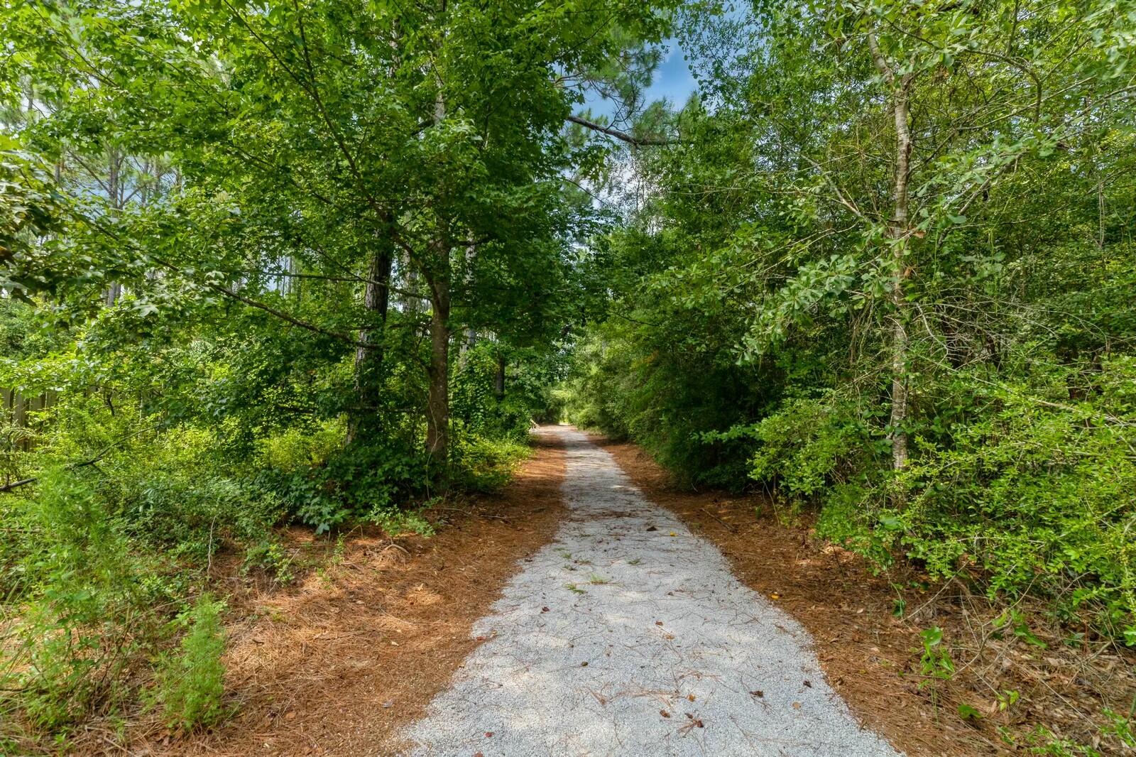 HAMMOCK BAY - Land