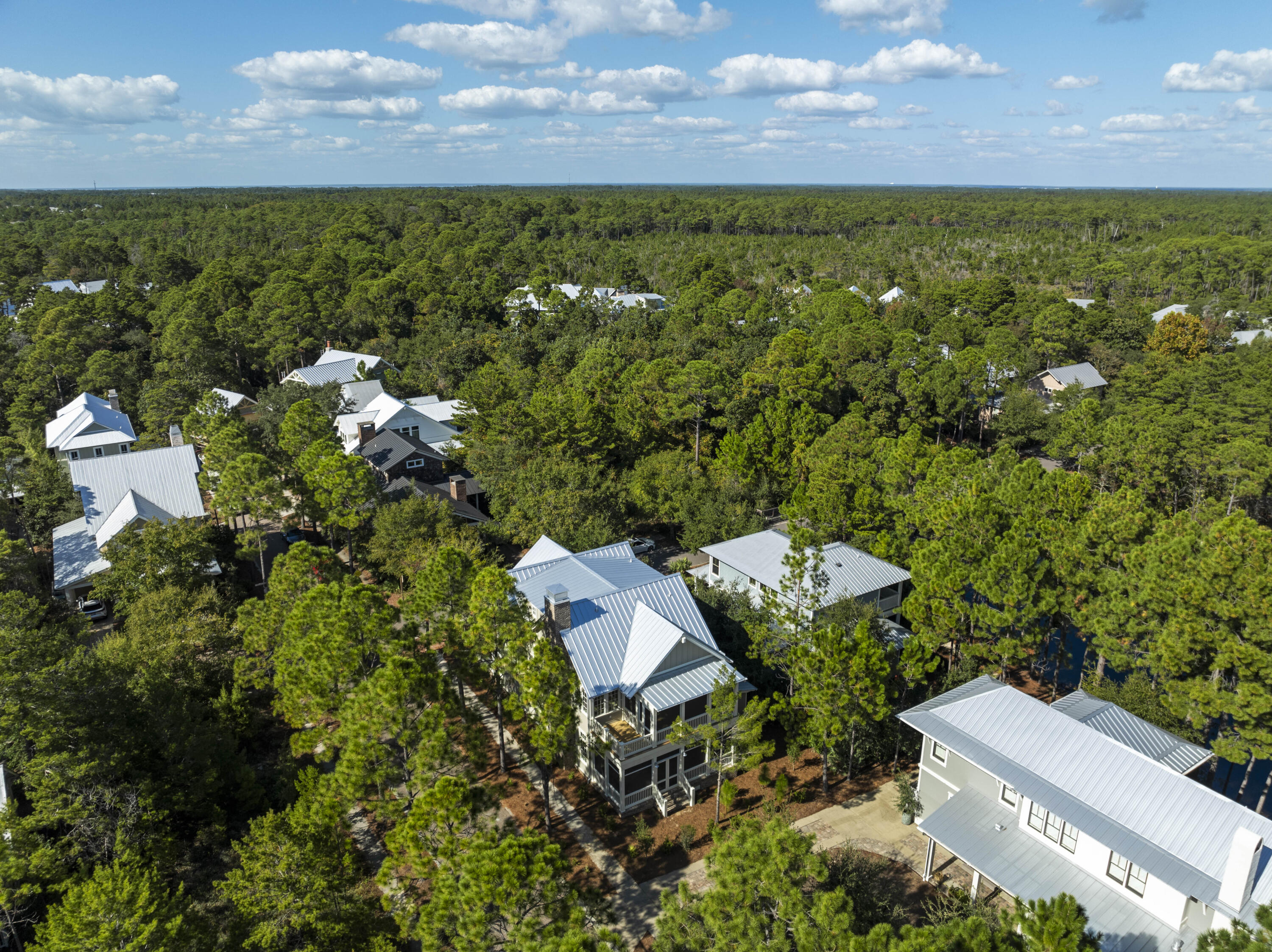 FOREST LAKES - Residential