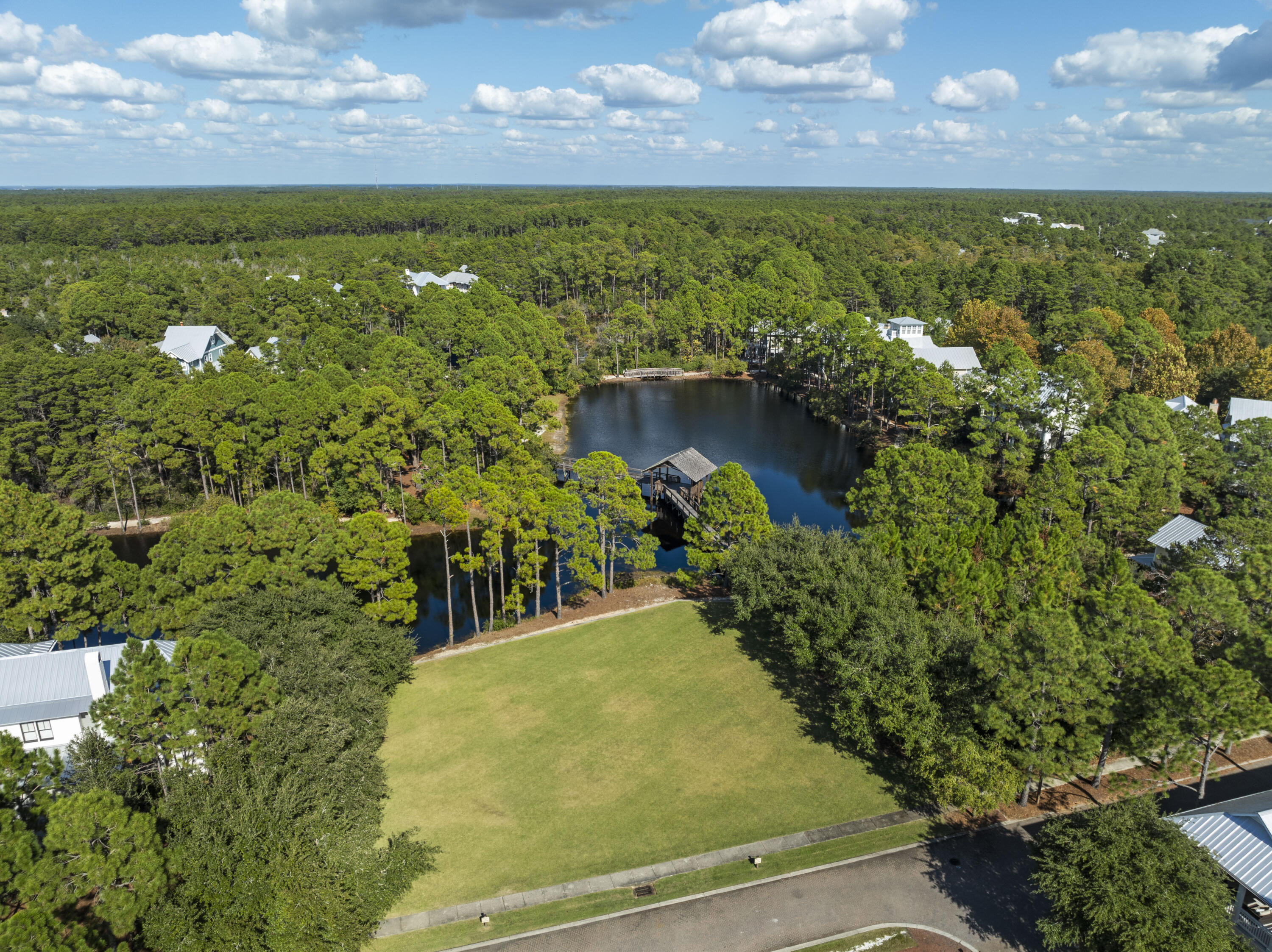 FOREST LAKES - Residential